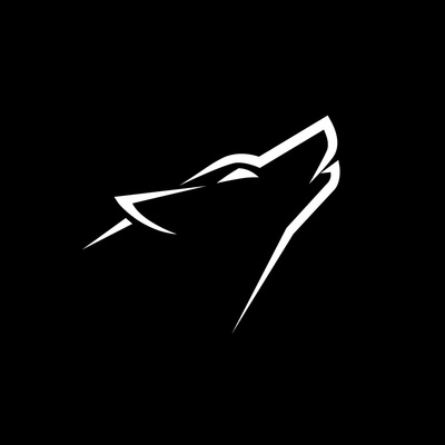 Light Wolf Studio