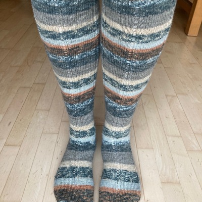 Catsitter & Knitter