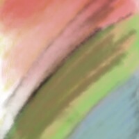 a bird