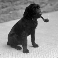 herr stoltenberg