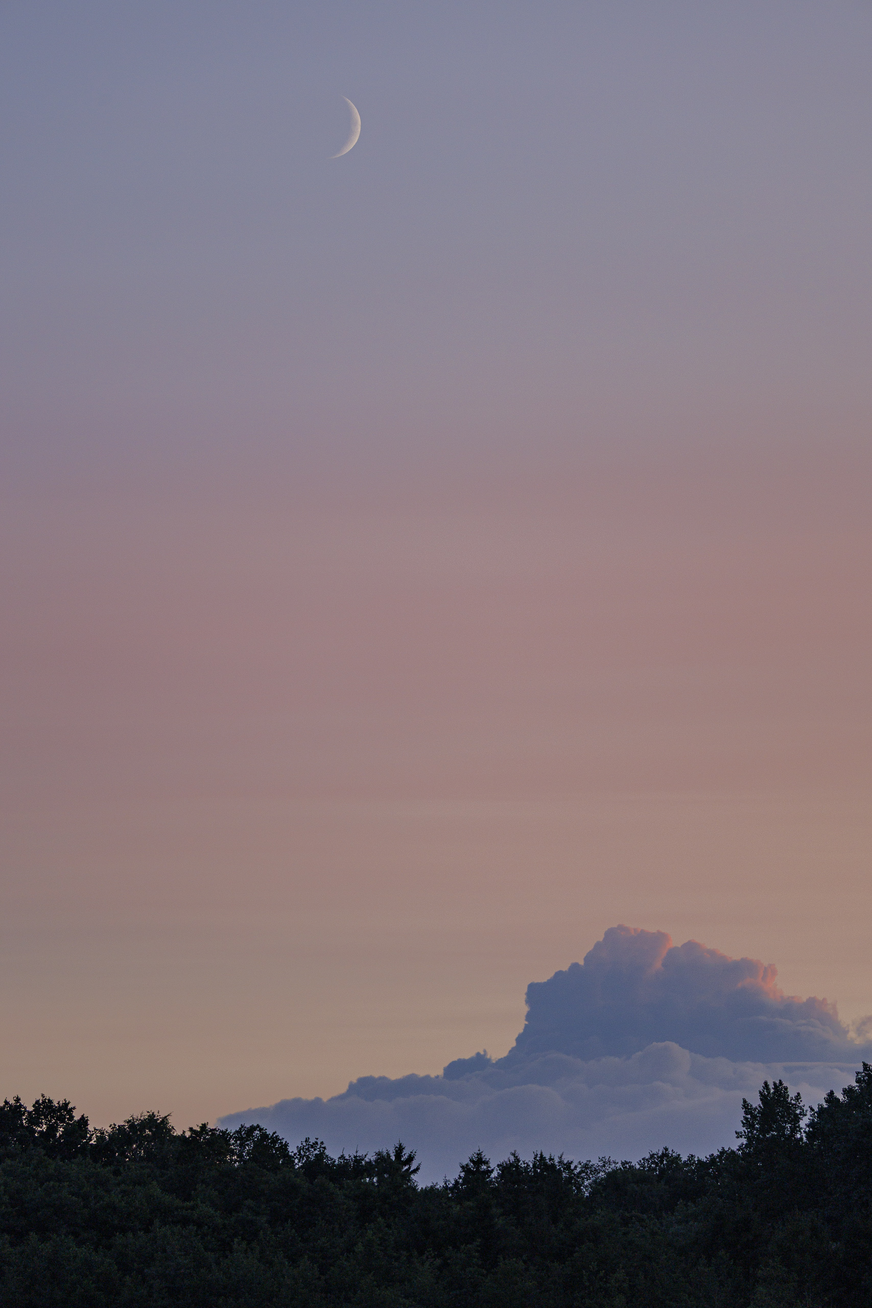 Ein hochformatiges Bild zeigt einen Himmel in den sanften Farbtönen von Lila und Rosa, der in einen helleren Blauton übergeht. Im oberen Drittel der Aufnahme ist eine schmale, weiße Mondsichel zu sehen. Am unteren Bildrand erstreckt sich eine dunkle Silhouette von Bäumen, die den Horizont markiert. Oberhalb der Baumgrenze, ungefähr in der unteren Mitte des Bildes, ist eine Ansammlung von Wolken in verschiedenen Schattierungen von Grau und Blau zu erkennen, die eine markante Form bilden. Das Gesamtbild vermittelt eine ruhige und friedliche Abendstimmung.