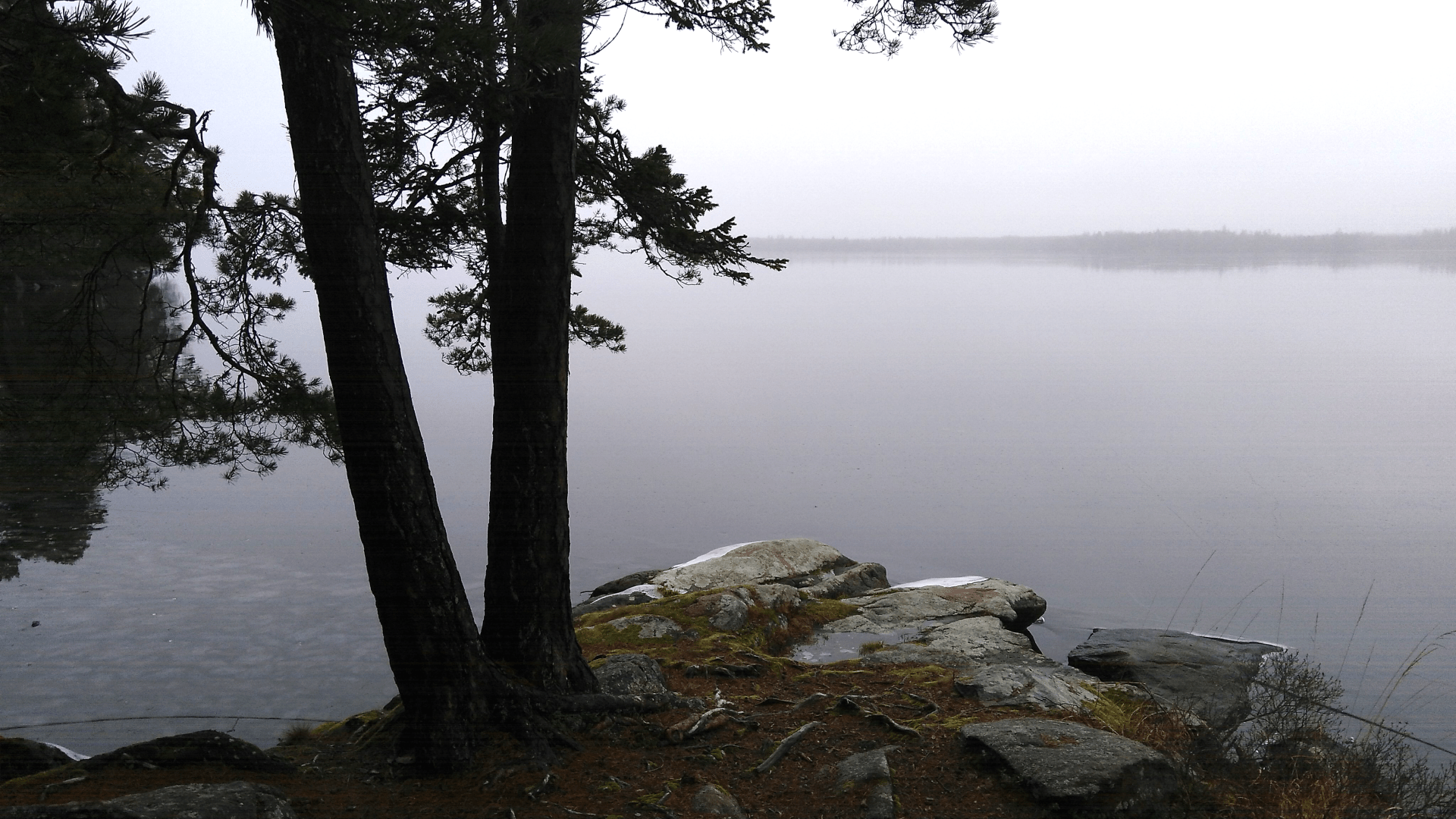 Foggy day at Hissö, Helgasjön, Växjö
