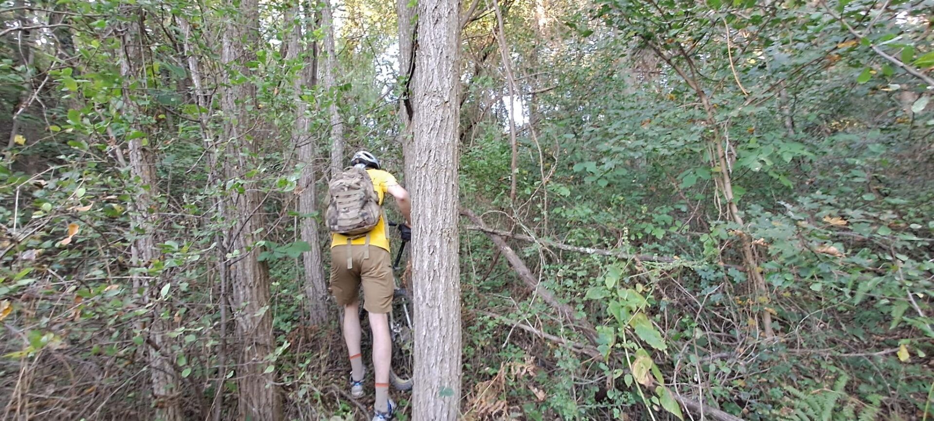 Squeezing the bike between the final trees just meters away from the path