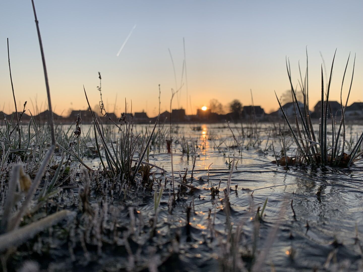 Frozen water wo grass in foreground, bottom. Dawn behind out of focus.