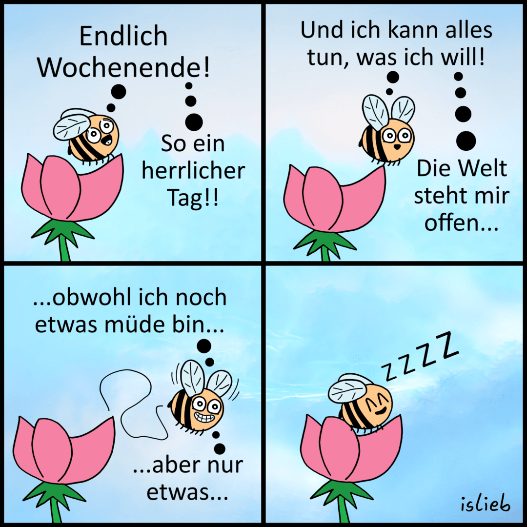 Ein Comic von islieb aus vier Bildern. Es zeigt eine Hummel, die vor einem hellblauen Himmel an einer rosa Blume fliegt.

Bild 1: Die Hummel schwebt fröhlich über der Blume und denkt in zwei Gedankenblasen: „Endlich Wochenende!“ und „So ein herrlicher Tag!!“.

Bild 2: Sie denkt weiter: „Und ich kann alles tun, was ich will!“ und „Die Welt steht mir offen...“.

Bild 3: Die Hummel dreht eine kleine Schleife in der Luft, schaut leicht erschöpft und denkt: „...obwohl ich noch etwas müde bin...“ und „...aber nur etwas...“.

Bild 4: Die Hummel liegt mit zufriedenem Gesicht und geschlossenen Augen schlafend auf einem Blütenblatt der Blume. Über ihr stehen schwebende „ZZZZ“-Buchstaben.