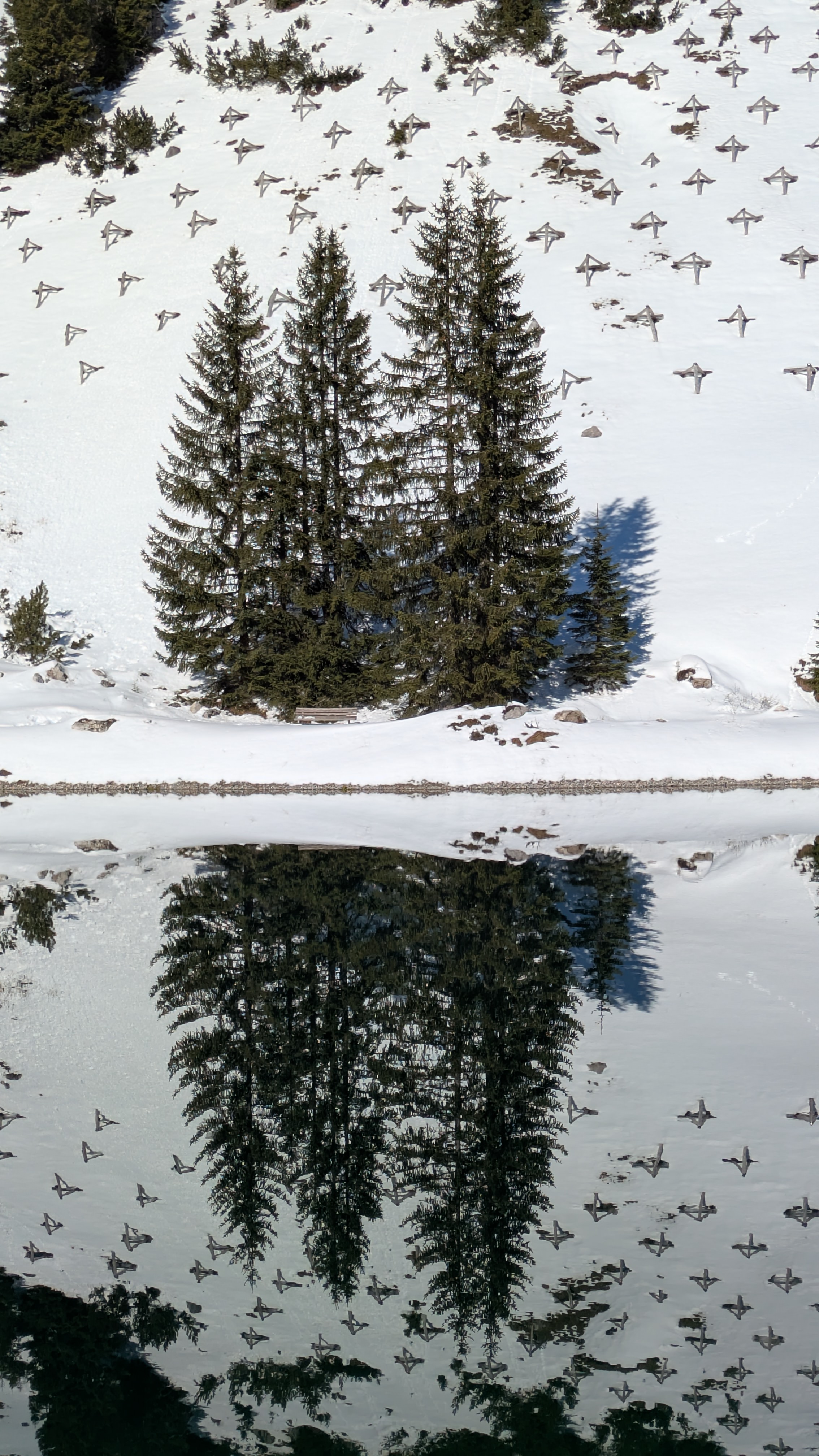 Verschneite Berglandschaft am Hahnenkamm im Lechtal (Tirol, Reutte). Drei Tannen stehen vor einem Hang mit Lawinenverbauungen, alles spiegelt sich makellos in einem stillen Bergsee. Die klare Winterluft und das ruhige Wasser erzeugen eine nahezu perfekte Symmetrie