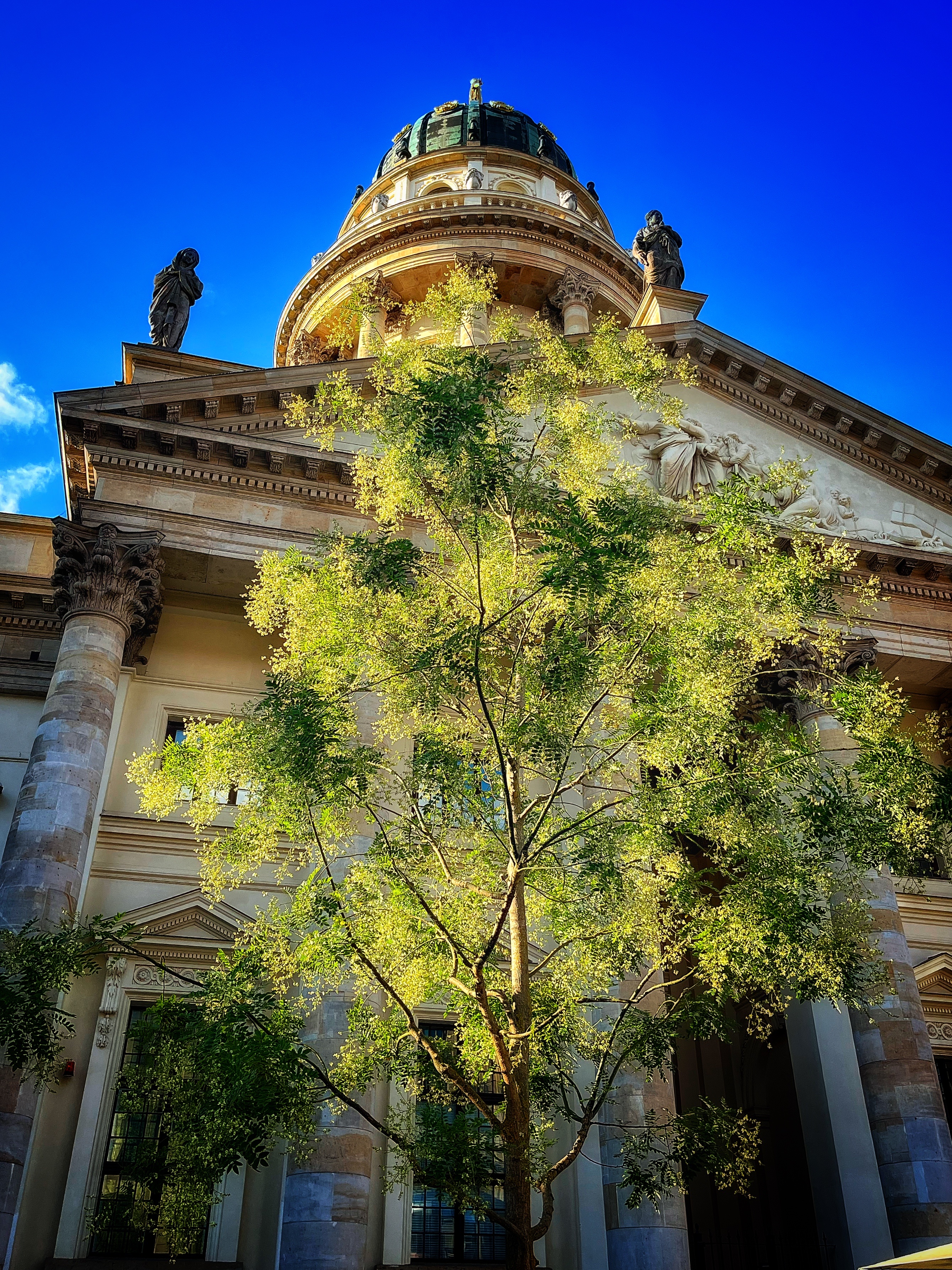 Here is a revised description of the image, incorporating the location:

⸻

The image captures a striking upward view of one of the twin domes at Gendarmenmarkt in Berlin, specifically the Französischer Dom (French Cathedral). The architectural style is baroque, with a grand colonnaded portico, ornate reliefs, and statues of classical figures standing atop the pediment. Rising above the richly detailed facade is the cathedral’s prominent dome, crowned with a lantern structure and small spire.

In the foreground, a slender, sunlit tree with light green foliage partially veils the entrance, its delicate leaves catching the afternoon light. The sunlight also bathes the stonework in warm tones, accentuating the building’s intricate features. The sky above is a vivid, cloudless blue, providing a striking contrast to the golden hues of the architecture and the vibrant green of the tree.

The overall scene blends natural and architectural beauty, evoking both serenity and historical grandeur in the heart of Berlin.