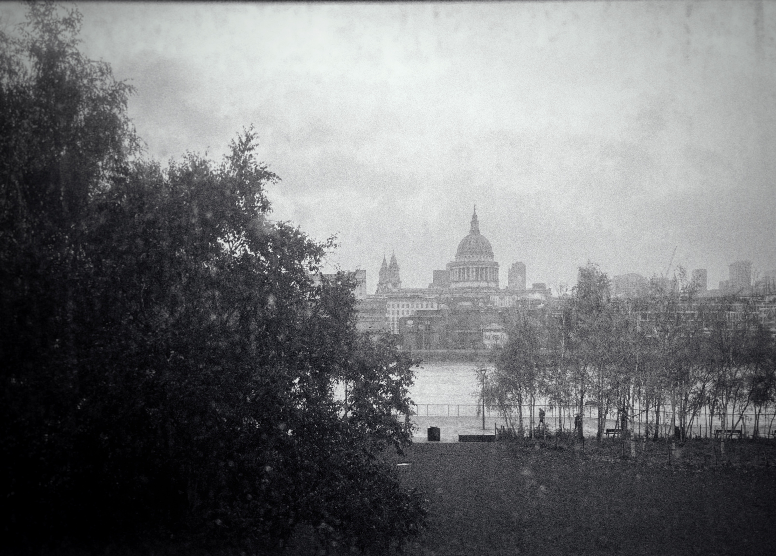 A black-and-white photograph taken from the Tate Modern looks out across the River Thames toward the London skyline. In the distance, St. Paul’s Cathedral dominates the scene with its large, unmistakable dome rising above the surrounding buildings. The cathedral appears slightly softened by the misty, overcast weather. The Thames stretches horizontally across the image, its surface muted by the rain and low light. On the near side of the river, a row of slender trees stands along the riverside path, their branches bare or lightly covered, creating a delicate contrast against the water. To the left, dense foliage from a larger tree fills the foreground, forming a dark silhouette. The entire scene has a quiet, subdued atmosphere. The grainy texture and soft focus give the impression of an older film photograph, emphasizing the moody, rainy character of London as seen from the Tate Modern’s riverside vantage point.