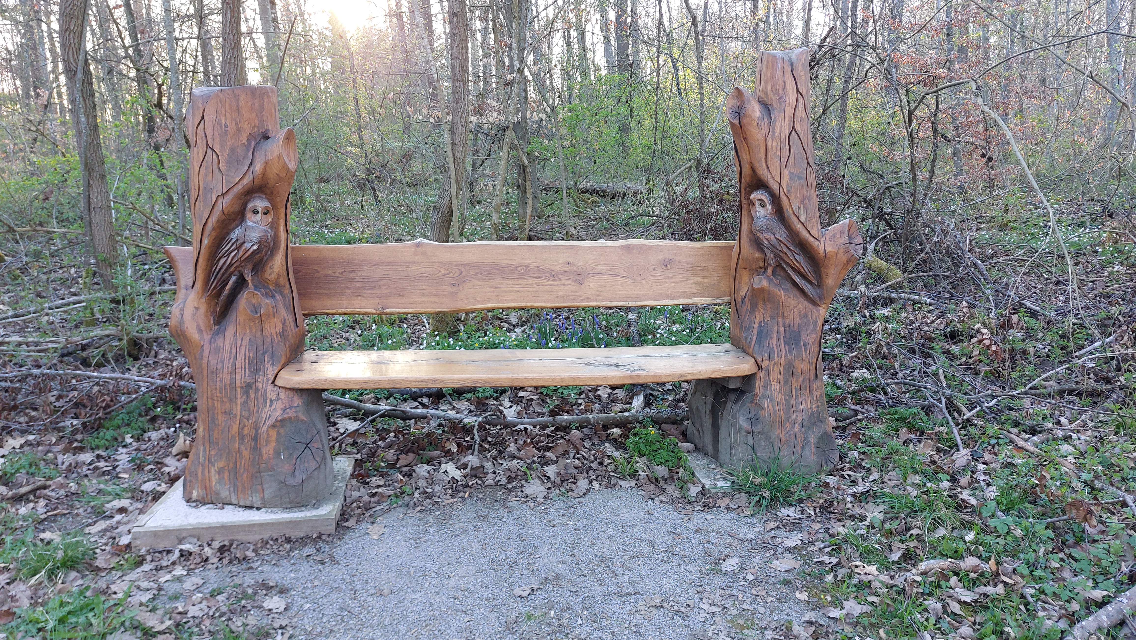 Foto einer Bank im noch kahlen Wald. Die Bank besteht aus zwei rindenlosen, glattpolierten und lasierten Baumstücken, in die jeweils eine Eulenfigur eingeschnitzt ist. Zwischen den Stämmen sind zwei hellere lasierte dicke Bohlen eingesetzt, die die Sitzfläche und die Rückenlehne bilden.
der Waldboden ist mit trockenem Laub bedeckt. Durch den Wald hinter der Bank scheint die tiefstehende Sonne.