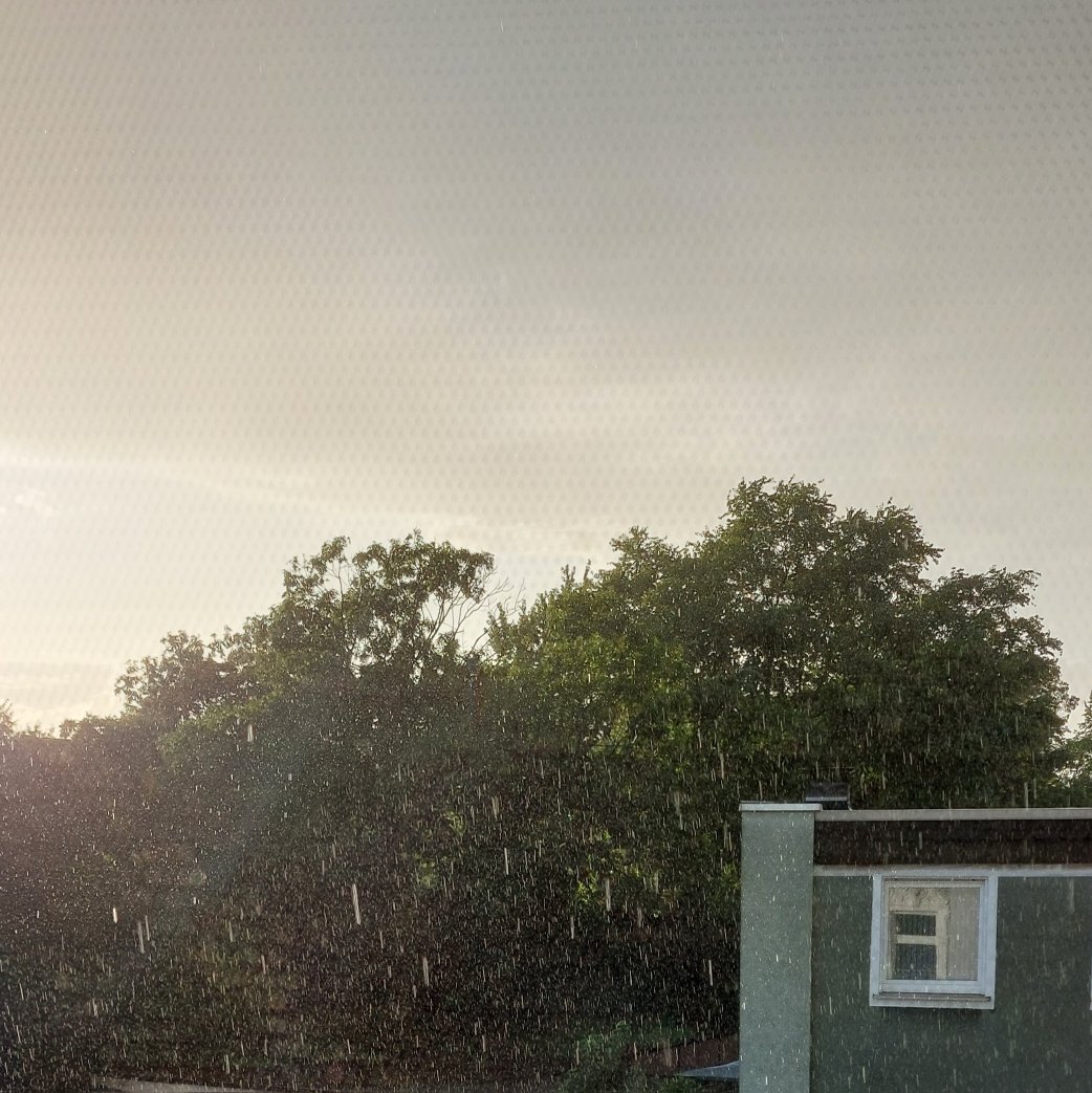 Fotografie von Baumsilhouetten vor grauem Himmel, die Sonne steht fast hinter den Bäumen. Im Vordergrund sind schwere, dichte Regentropfen sichtbar. In der unteren rechten Ecke ist ein grün-grau gestrichenes Haus mit Flachdach sichtbar.