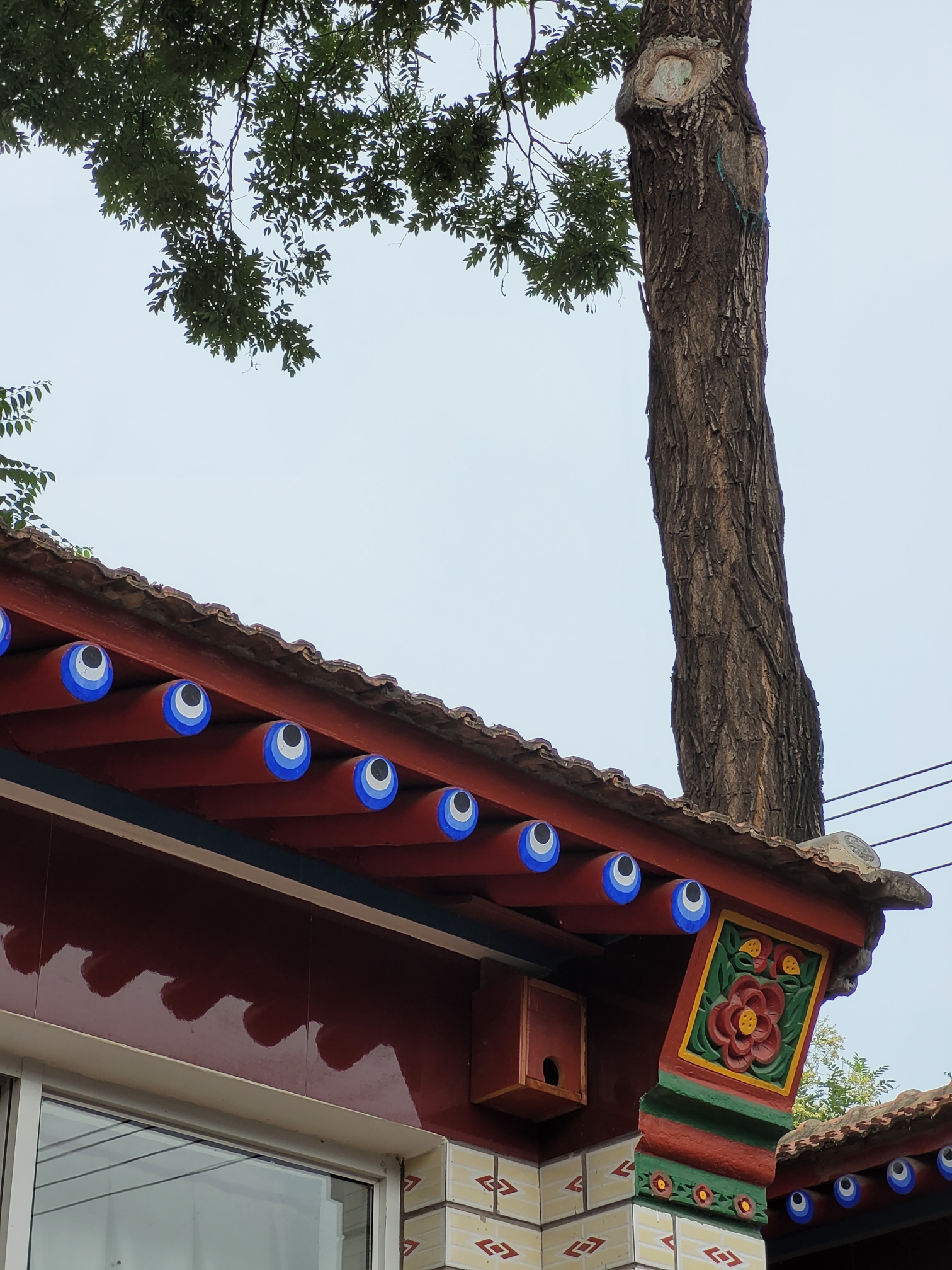 the high trunk of a tree above the angle of a traditional Chinese roof