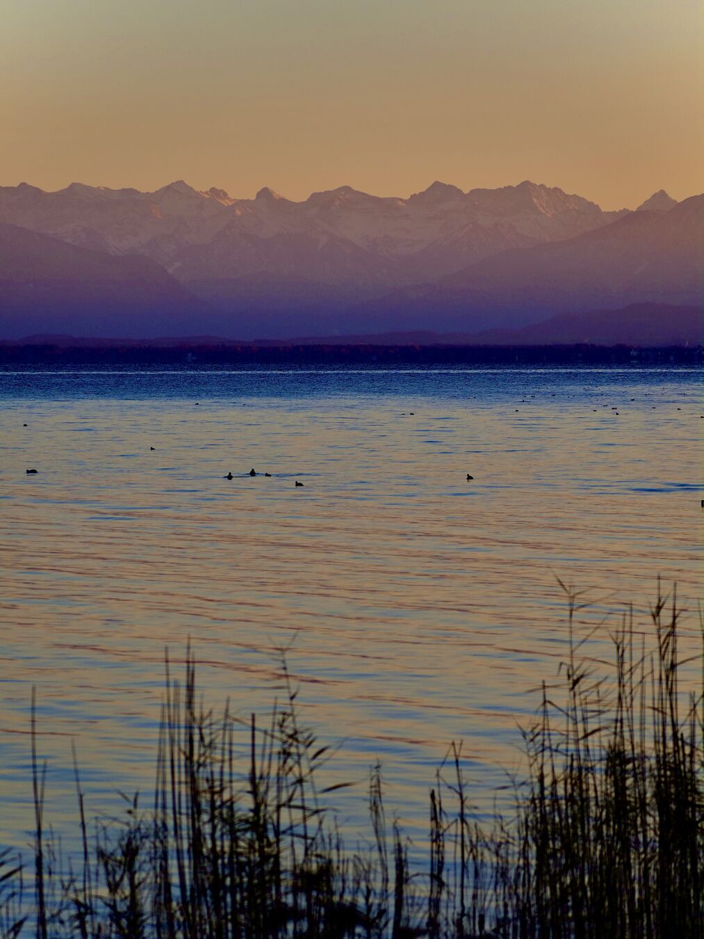 A purple evening

#sundown #dusklight #autumn #lakestarnberg #alps #bayern #landscape #photography