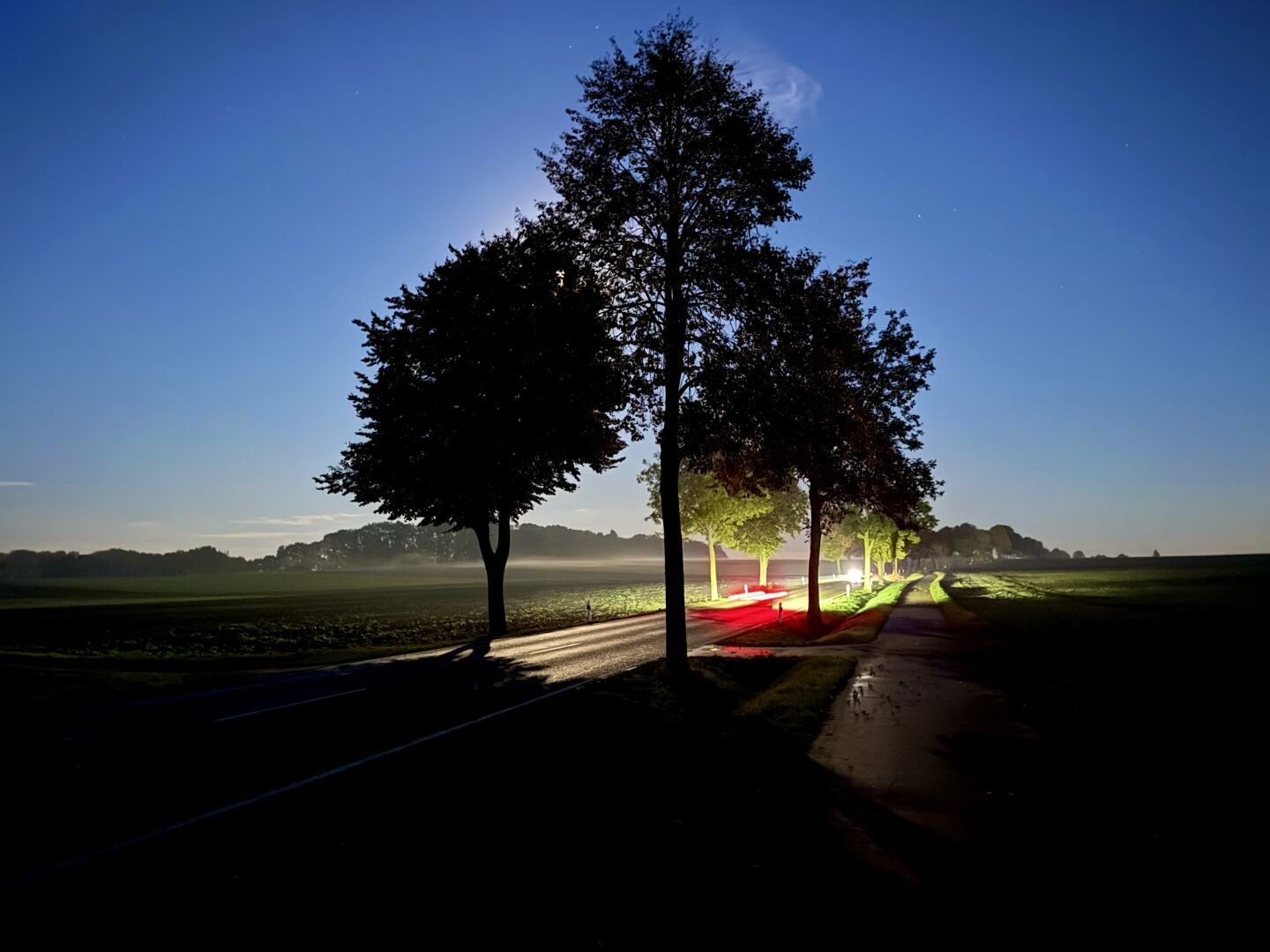 Country road

#randomscene #countryroad  #photography #landscape #nightlights  #roadtraffic #fediphoto