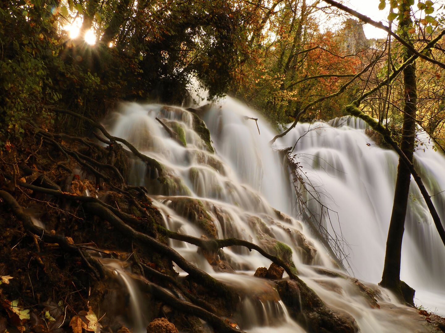 Cascades des Tufs - Cuisance

#nature #mothernature #jura #photography #waterfall #omsystem