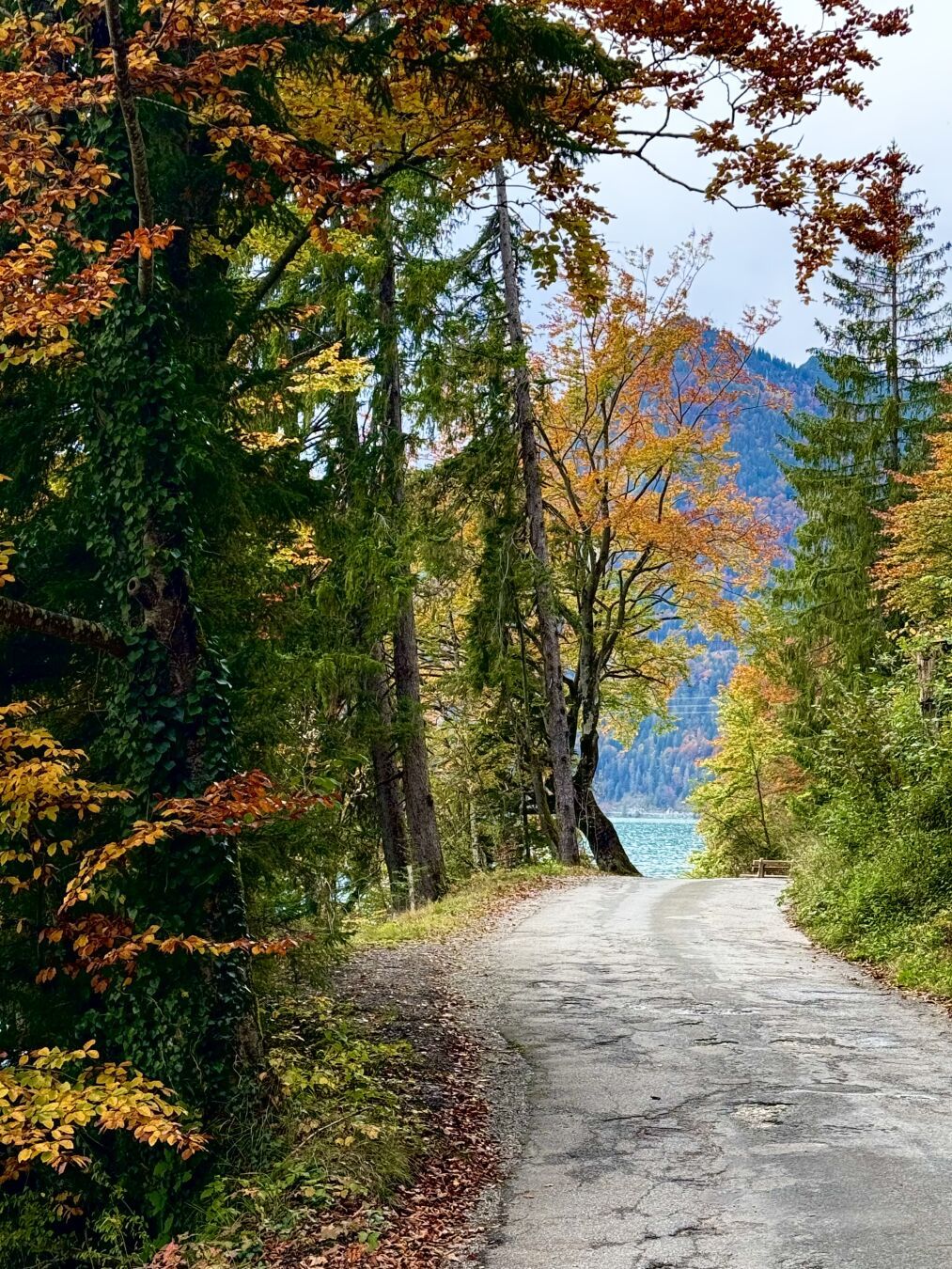 Jachenau

#autumn #autumwoods #bayern #walchensee #photography