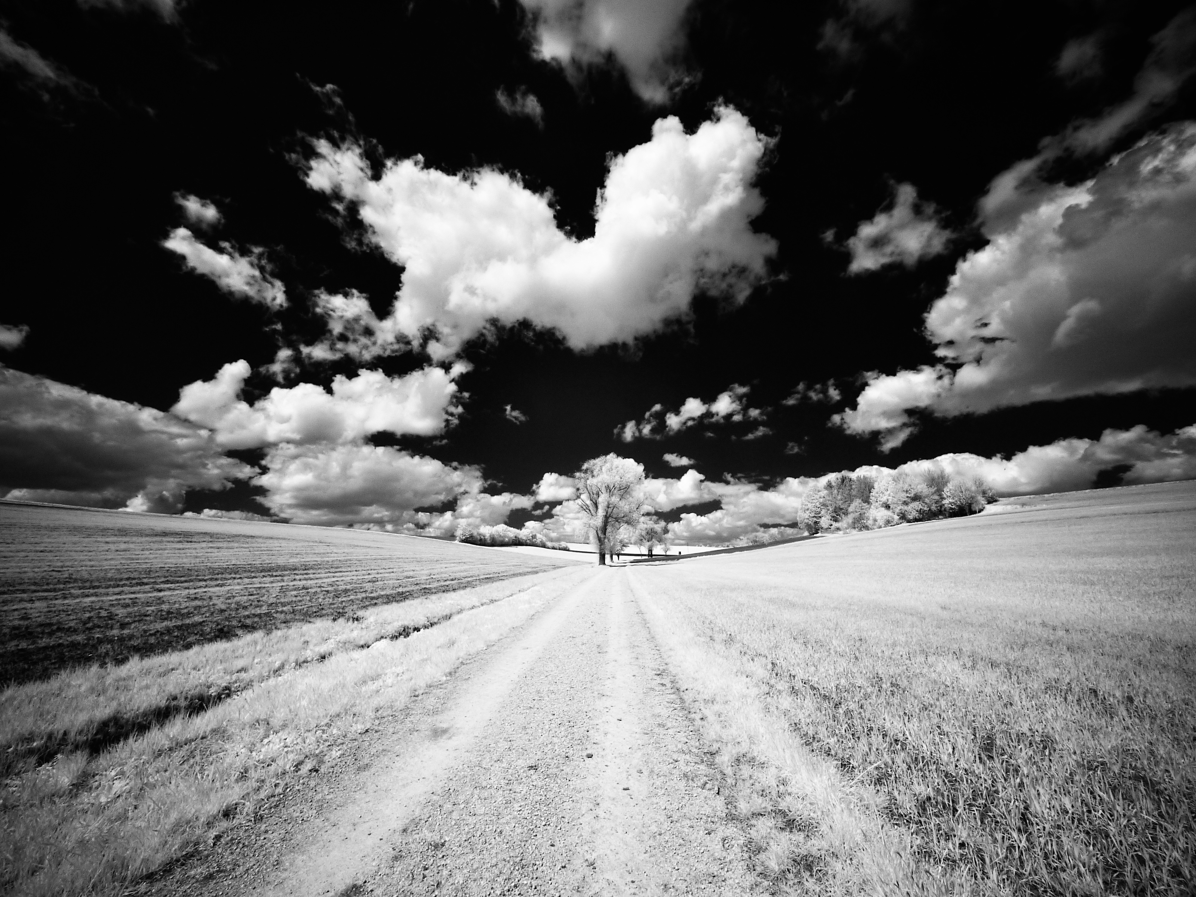 The horizon always attracts me…

#photography #FotoMontag #blackandwhite #onthetrail