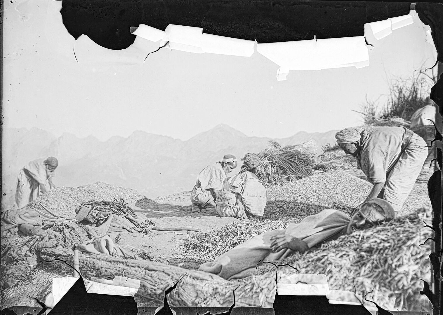 Please read (see ALT for description in german): 
I rarely post photos by other photographers. This historical photo was taken by the doctor Harriet Straub, who worked with Bedouins in Algeria around 1900 on behalf of the French government. A friend of mine inherited about 100 old glass plate negatives from her estate. I have digitized the photo above because the negative emulsion is beginning to separate from the carrier glass due to its age, which can be clearly seen in the frayed edges of the digital copy.

The photo was taken during Harriet's time in the Tamanrasset area in the Ahaggar Mountains and shows locals harvesting grain.
I think the photo is great, beautiful and worth showing because it is so timelessly vivid. Can you spot the man at rest?