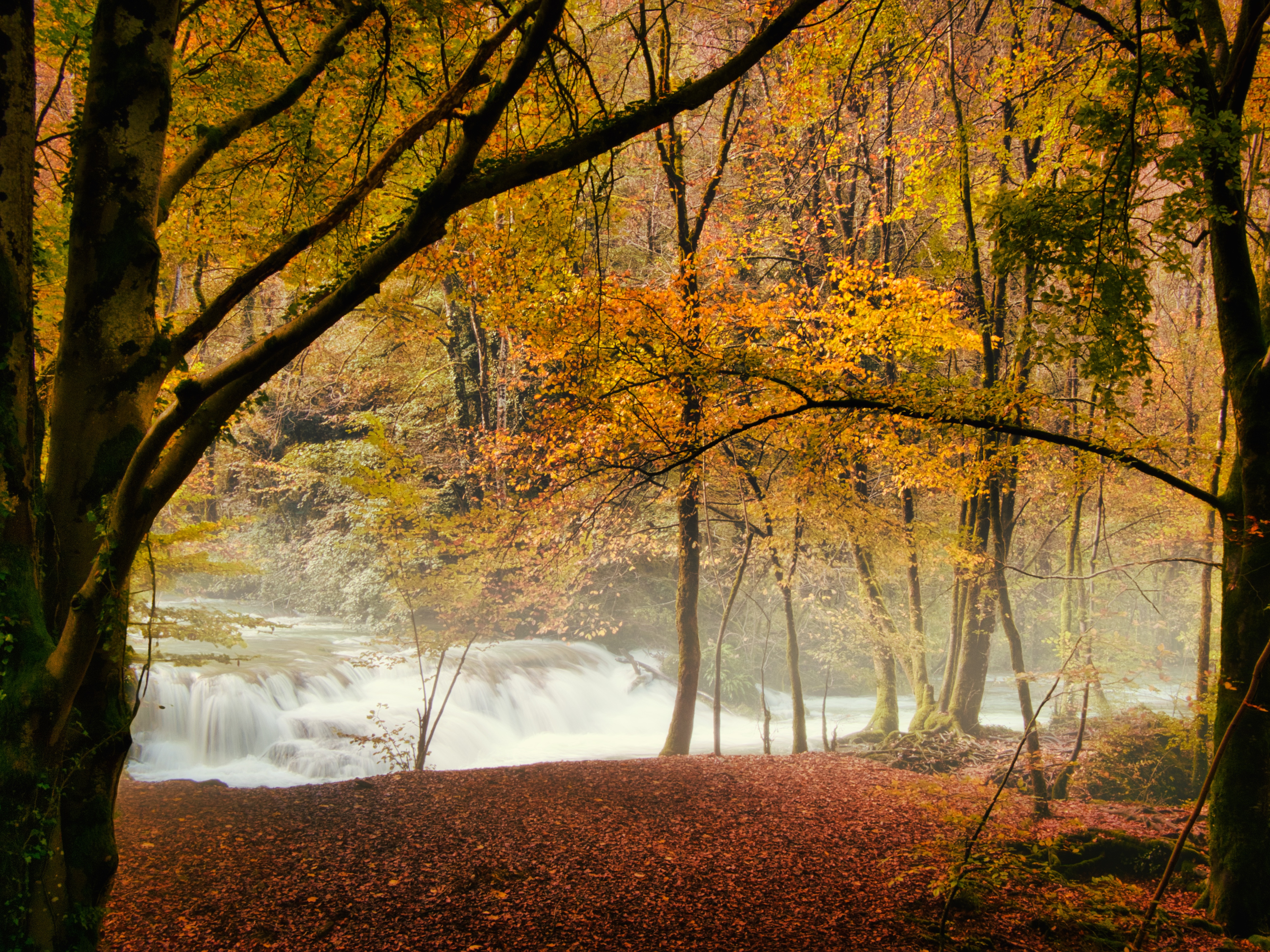 Les Planches

#waterfall #autumnwoods #mist #autumnmood #autumnleafes #walkinginthewoods #landscape #photography #omsystem