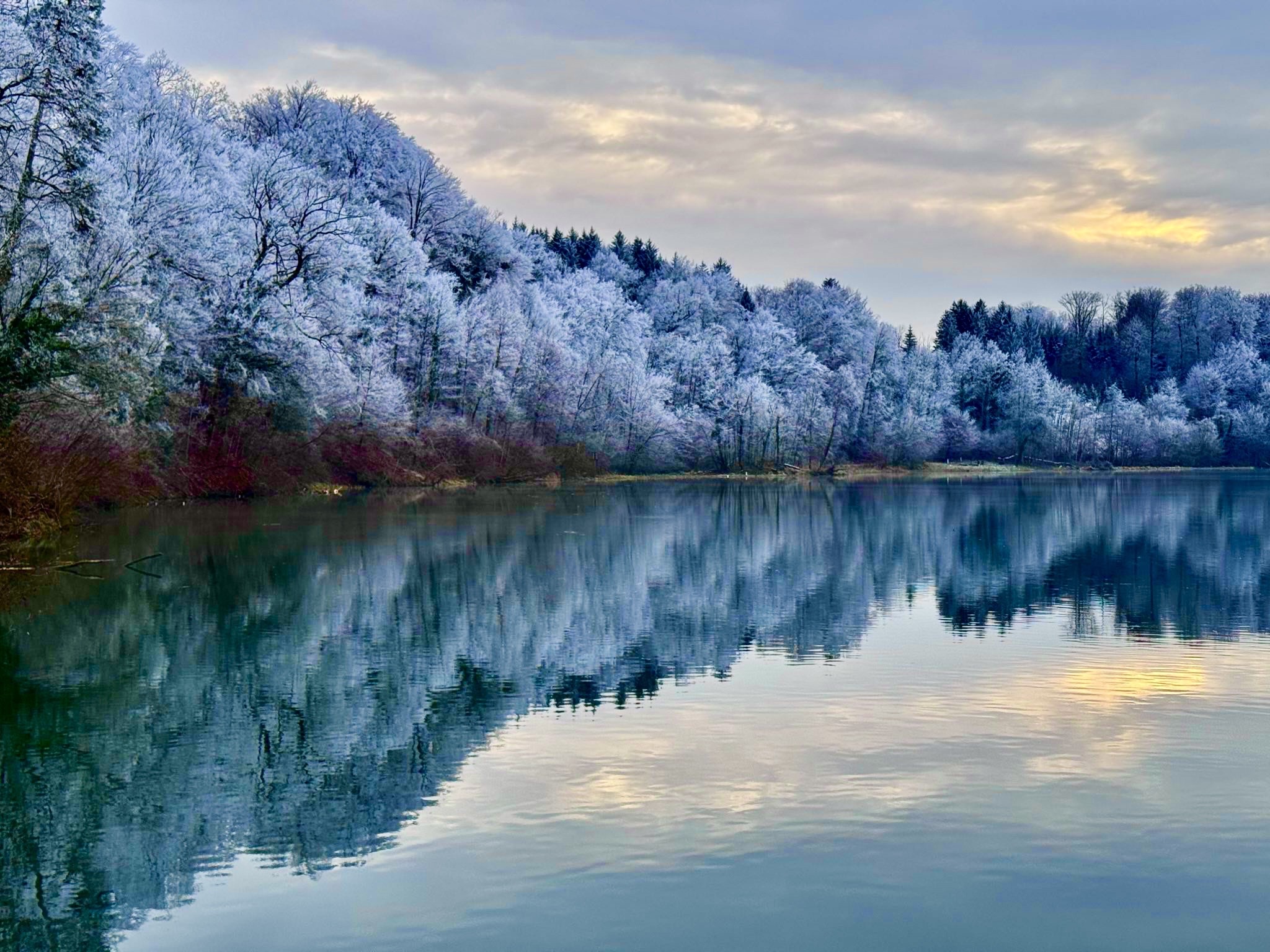 Die winterliche Reuss bei Bremgarten, Kanton Aargau, Schweiz