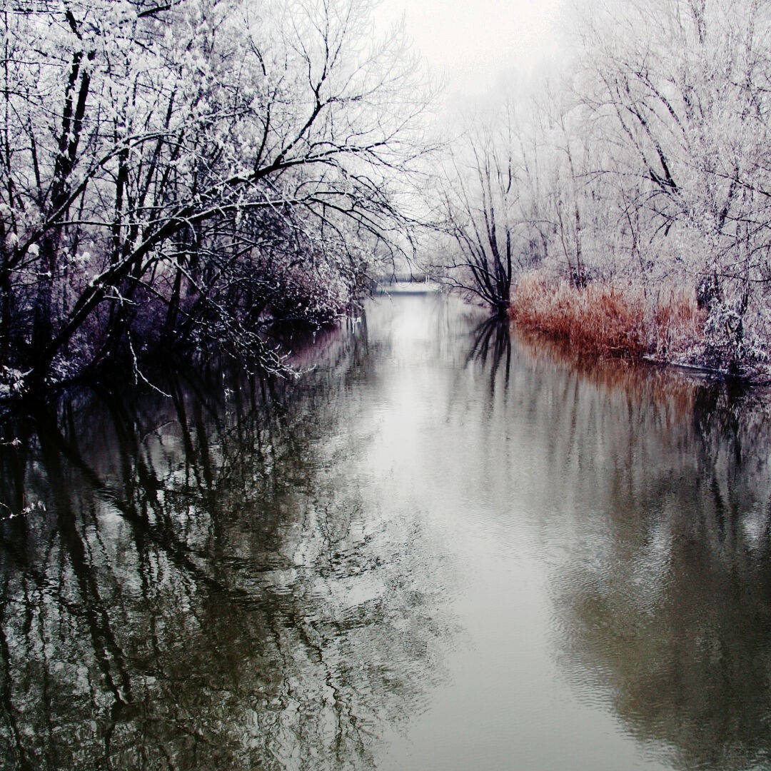 Frost

#winter #winterscenery #whitefrost #river #woernitz #donauwoerth #photography