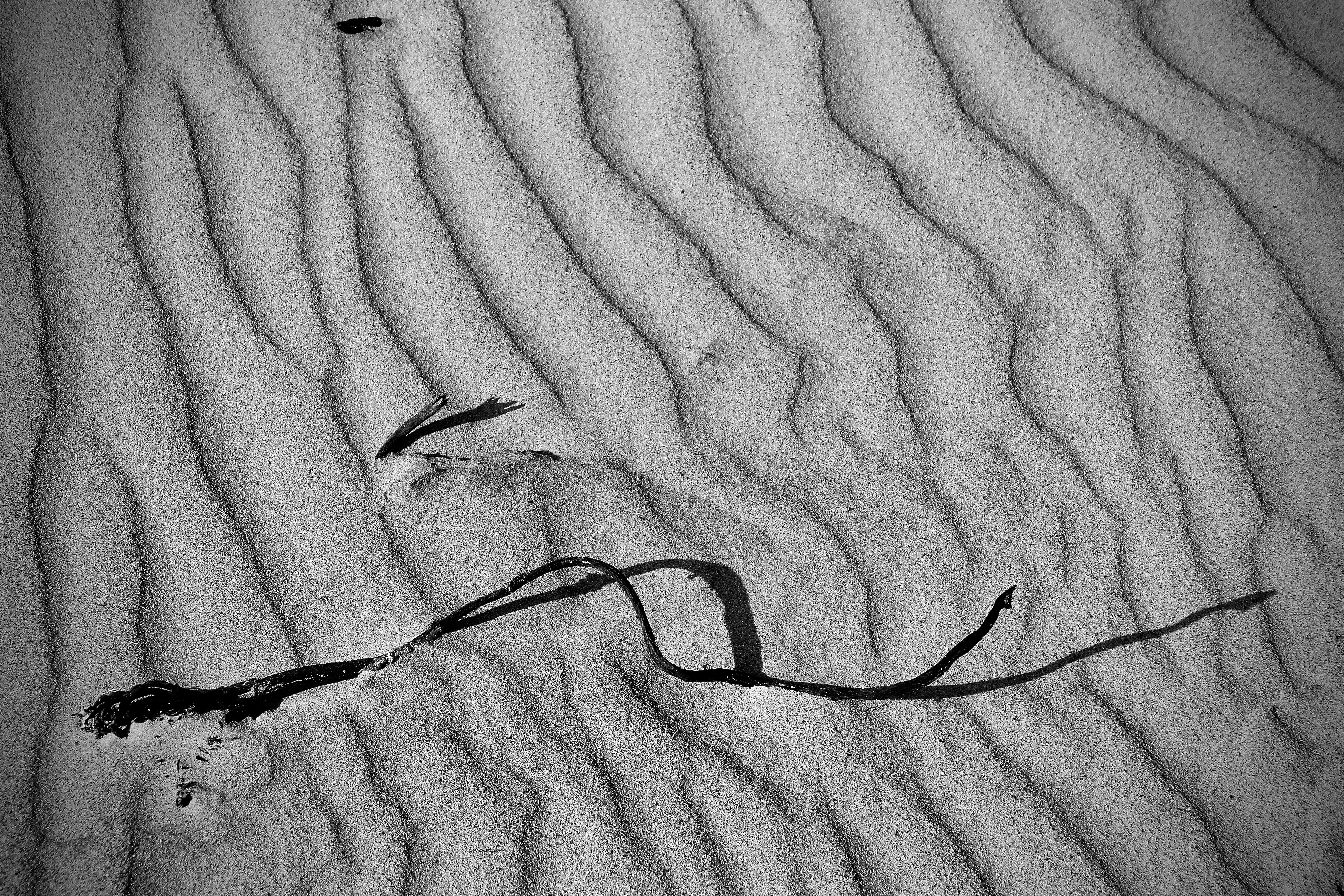 Waves and counterwaves

#blackandwhite #bnw #photography #meermittwoch #photography