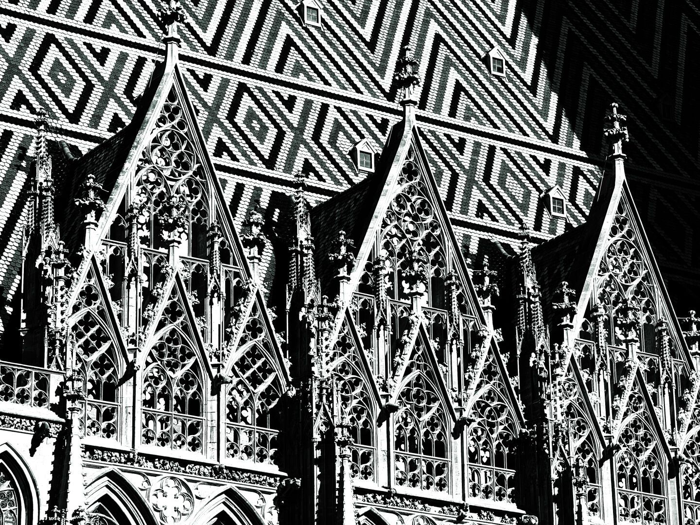 Details from St. Stephen's Cathedral in Vienna

#architecturephotography #blackandwhitephotography #fotomontag #photography