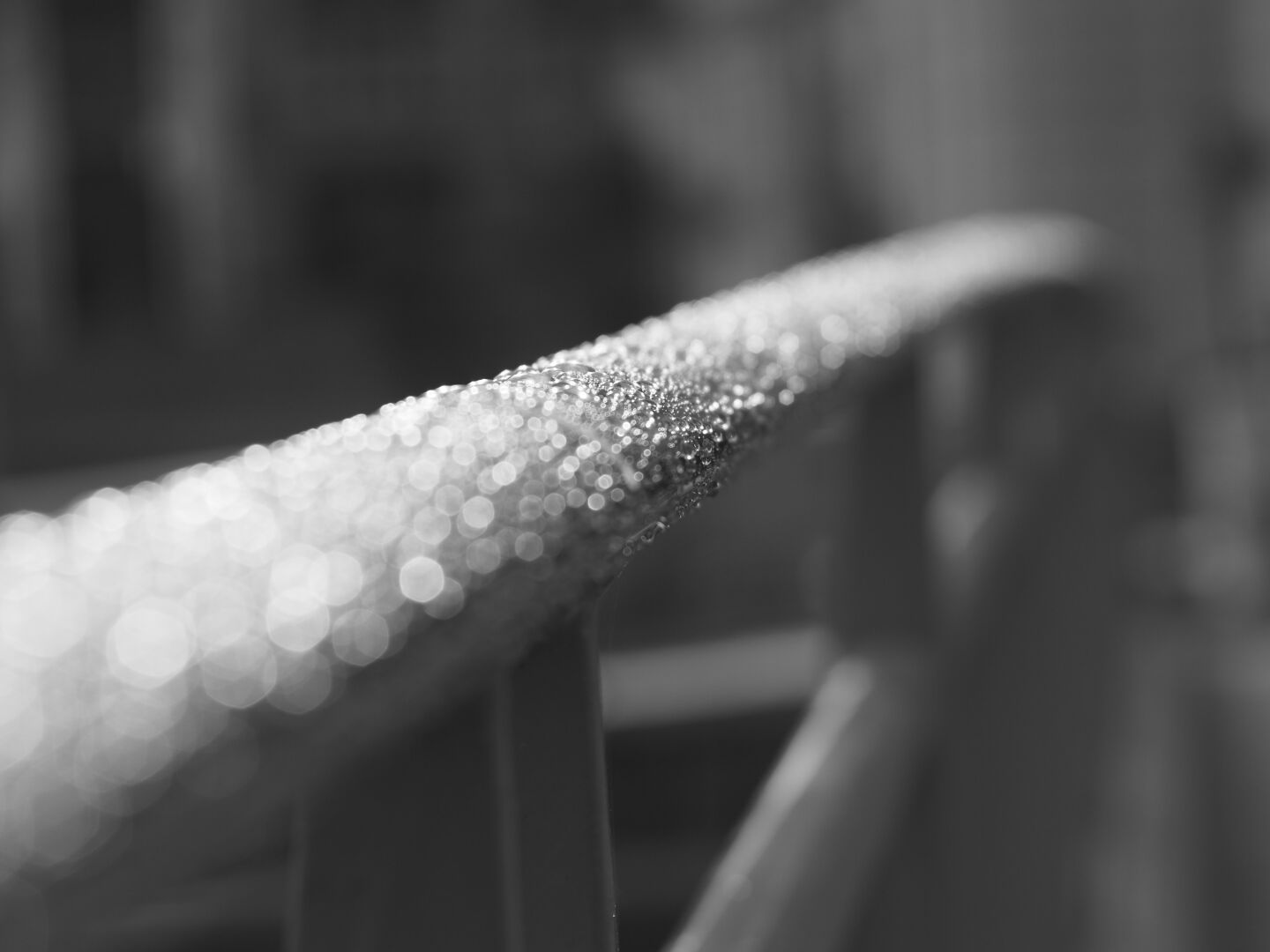 Guideline

#blackandwhite #photography #afterrain #railing #depthoffield