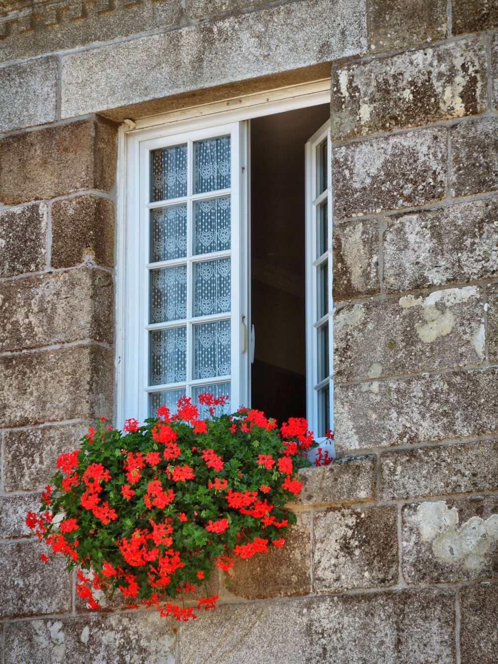 Zum #fensterfreitag gieße ich einfach etwas Rot ins Dezembergrau… 🙂