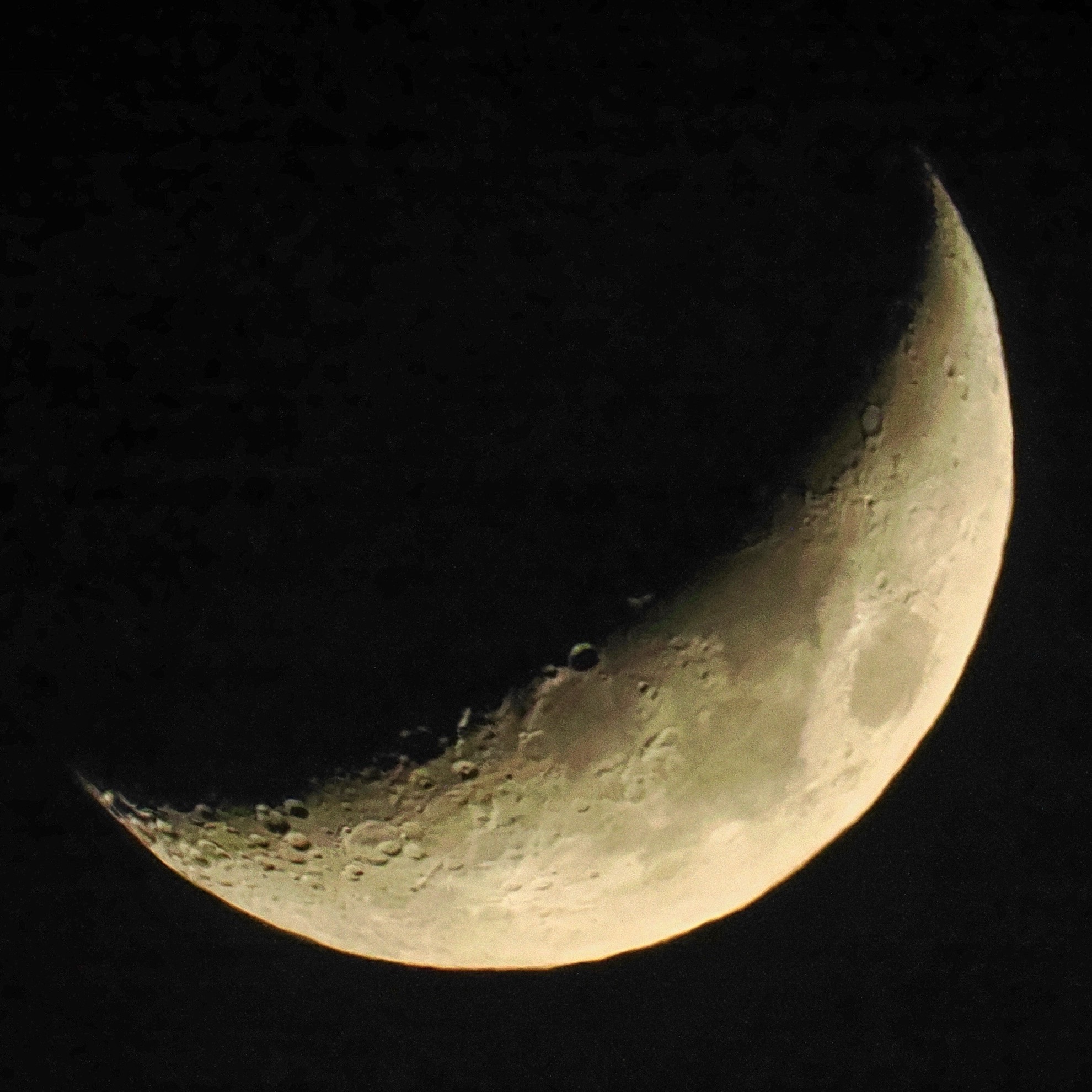 I'll see you on the dark side of the moon…

#moon #moonlight #omsystem #photography