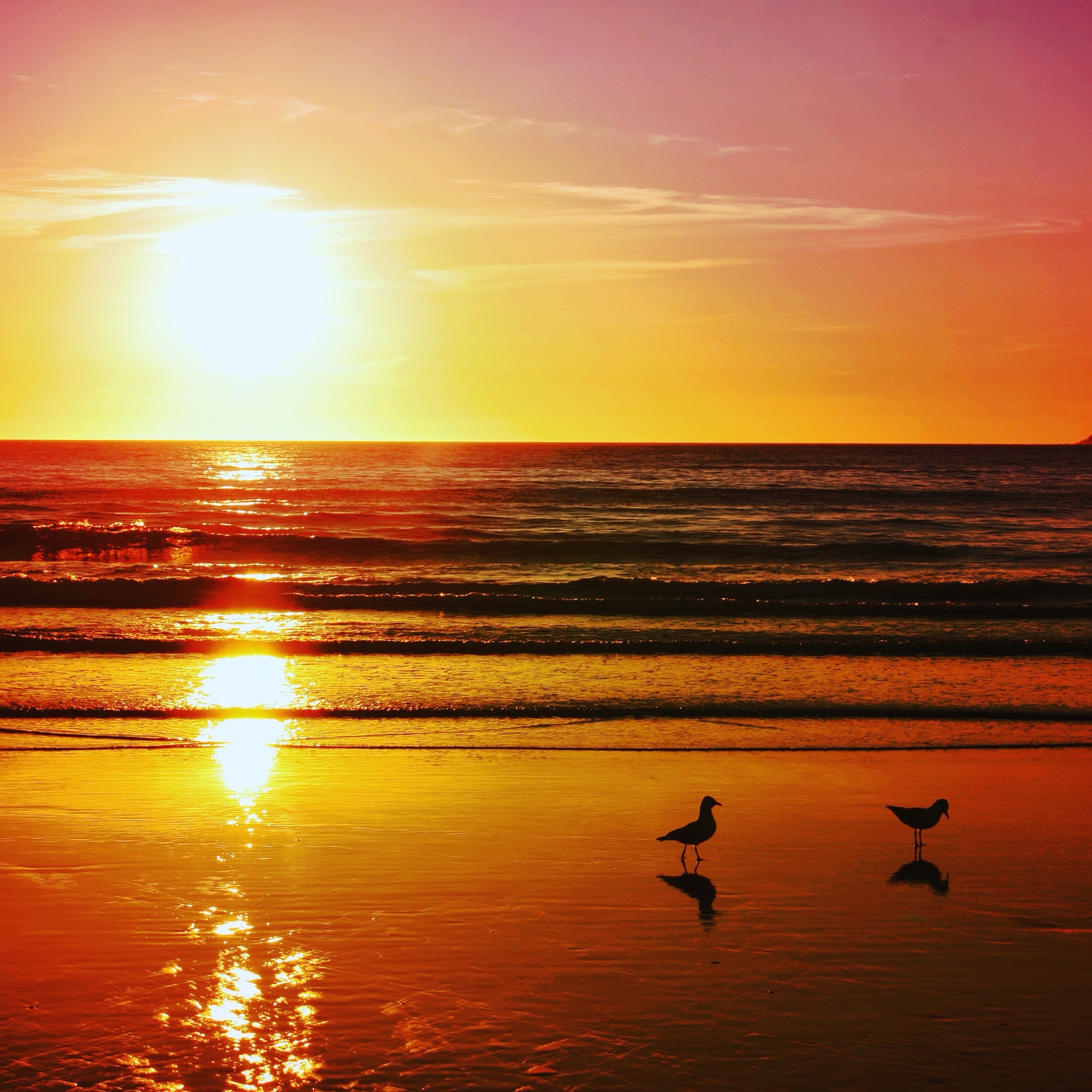 La mer

#meermittwoch 

#photography #atlantic #sunset