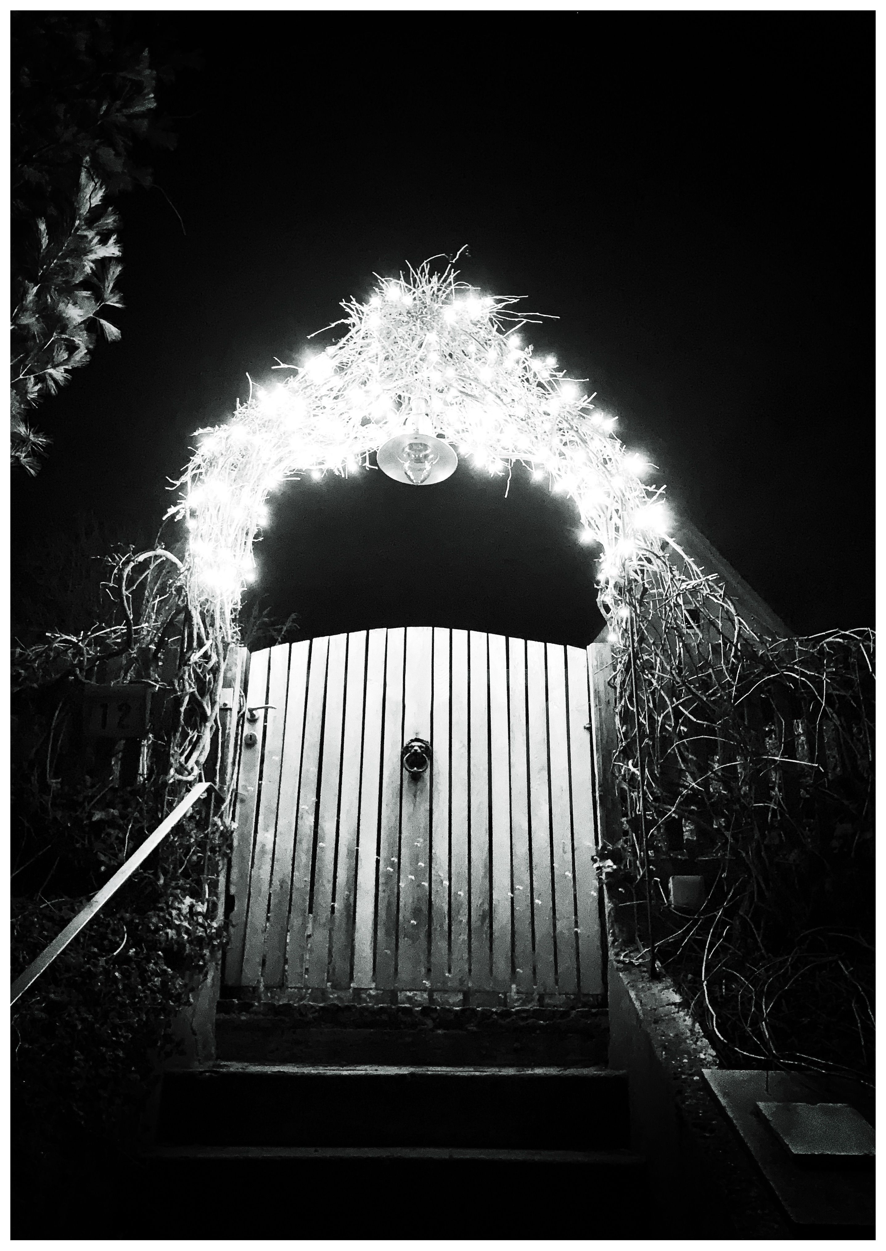 Lightful gate

#garden #gate #advent #christmaslights #blackandwhite #monochrome #photography