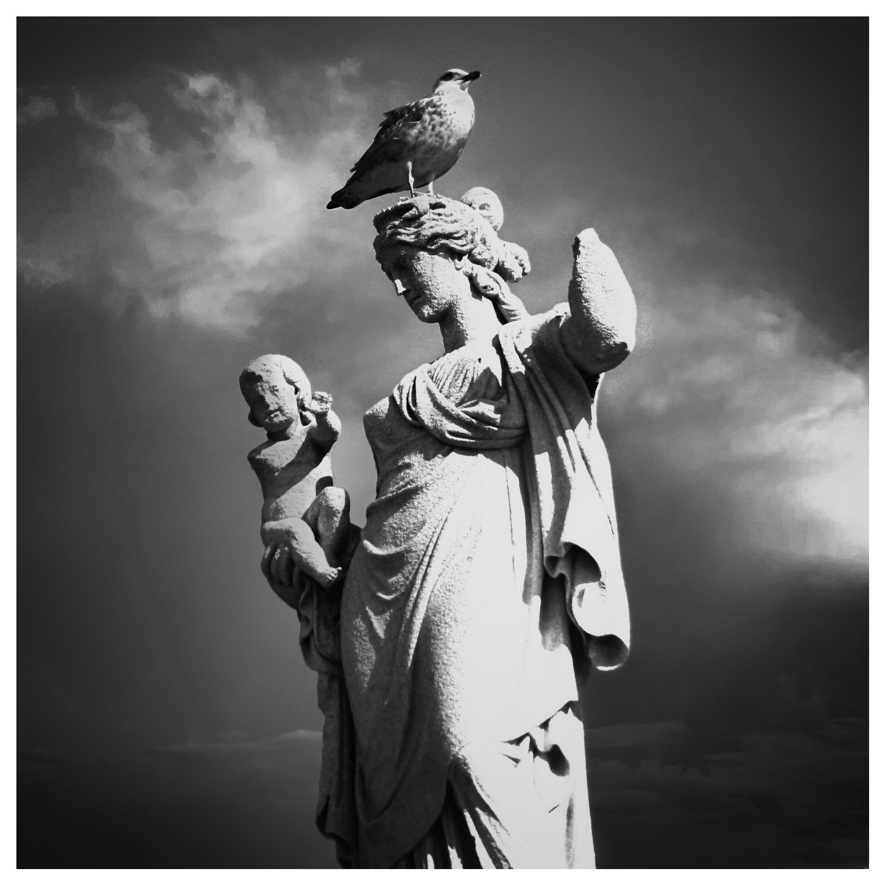 Birds place 😊

#photography #blackandwhite #monochrome #statuensamstag