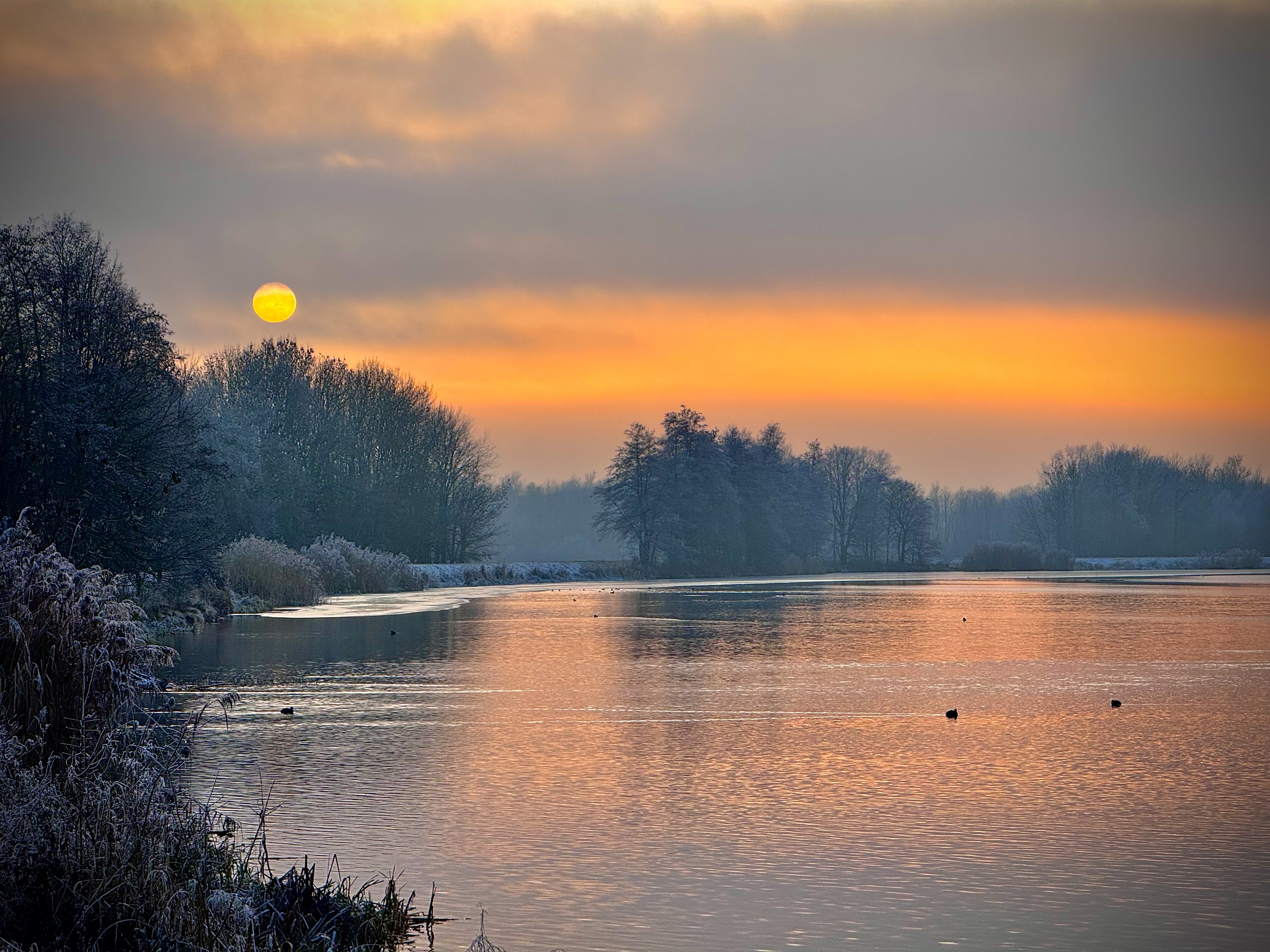 Die Donau hier gestern Abend kurz vor Sonnenuntergang. An den Rändern vereist der Fluss bereits, Rauhreif bedeckt Schilf, Bäume und Sträucher am Ufer. Schnee fällt etwas später…

#landscape #photography #donau #danuberiver