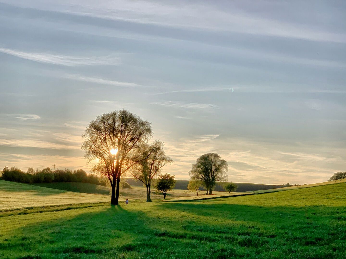The breath of spring is green...

#landscape #sunrise #photography