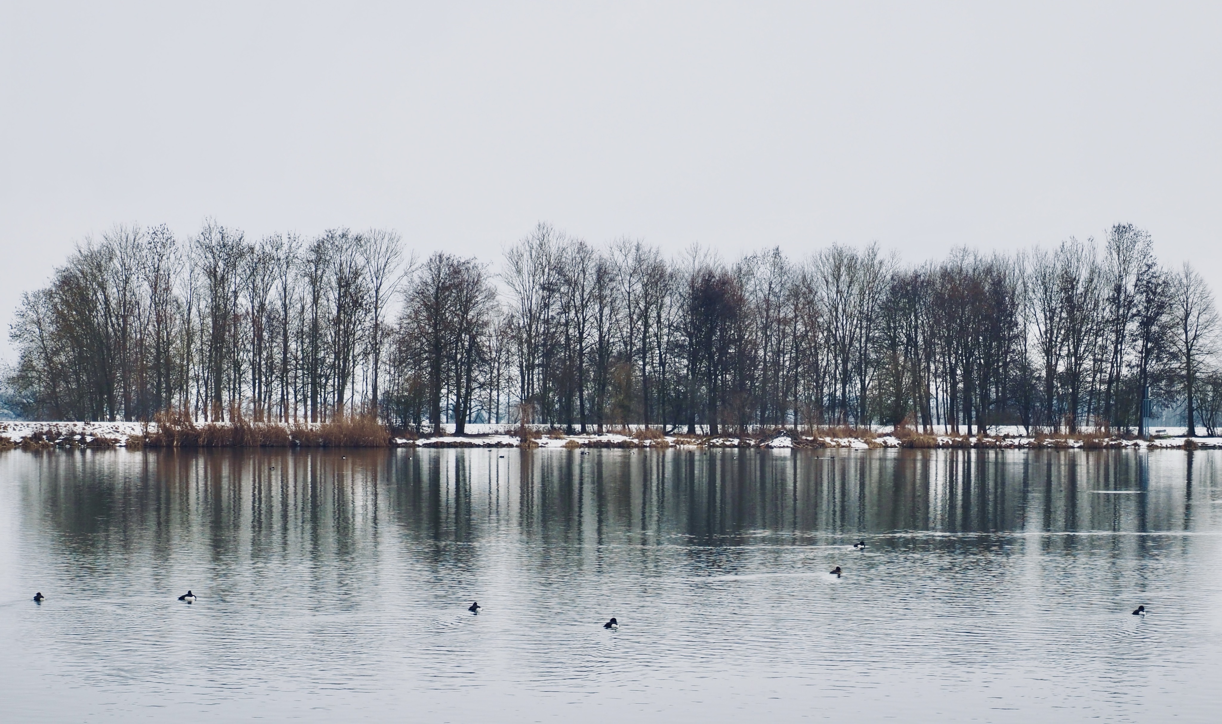 Die Donau im Winter

#FotoMontag