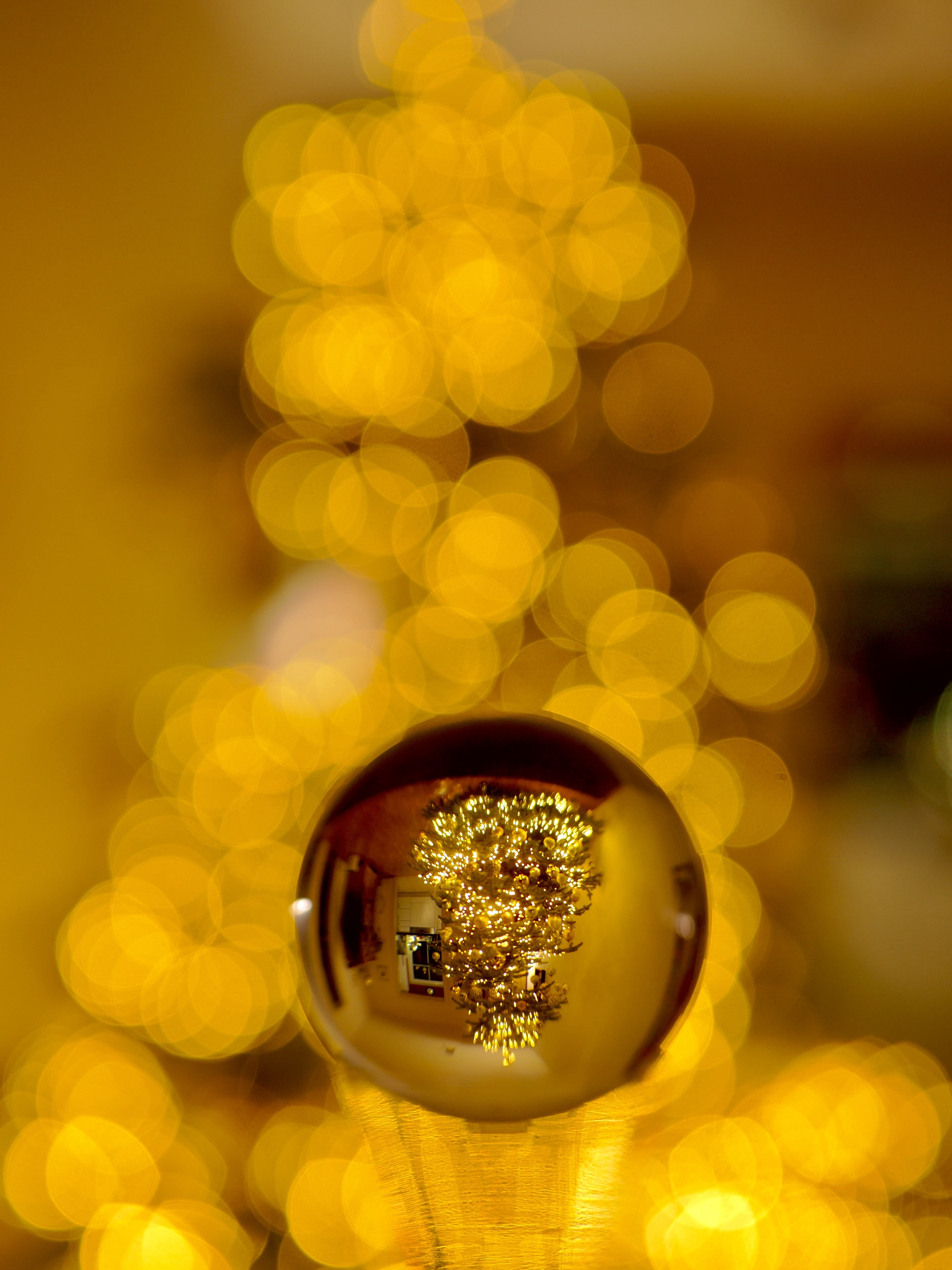 Hier wurden jetzt die Christbäume von der örtlichen Feuerwehr zur Entsorgung abgeholt. Ich finde das immer leicht schade, denn der Lichterglanz im Wohnzimmer hat in dieser dunklen Jahreszeit auch irgendwie etwas Tröstliches… darum noch schnell ein Erinnerungsfoto!


#xmasisover