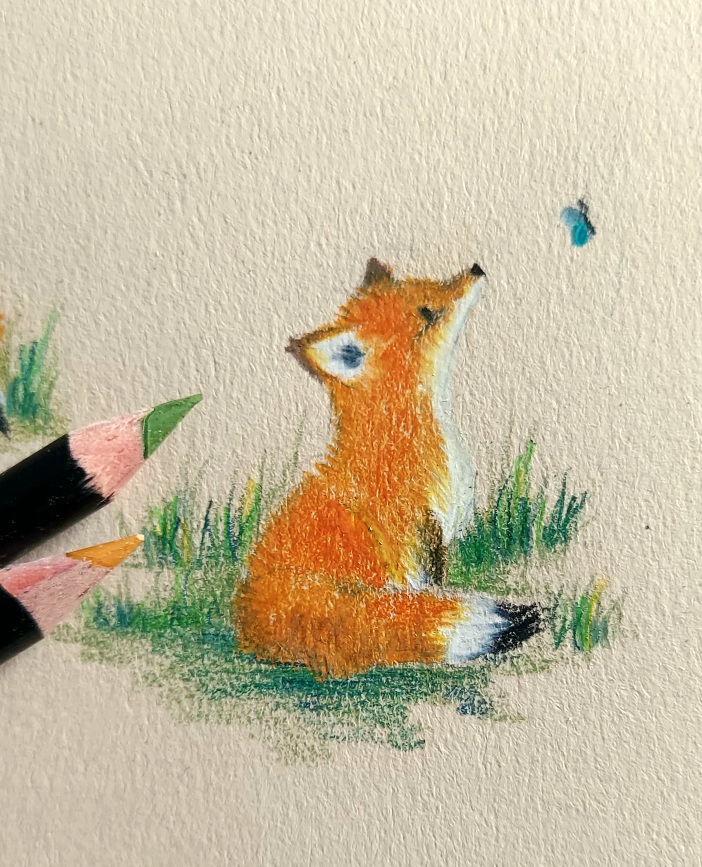 Fuchs, der im Gras sitzt und zu einem blauen Schmetterling hochschaut, in Buntstift.