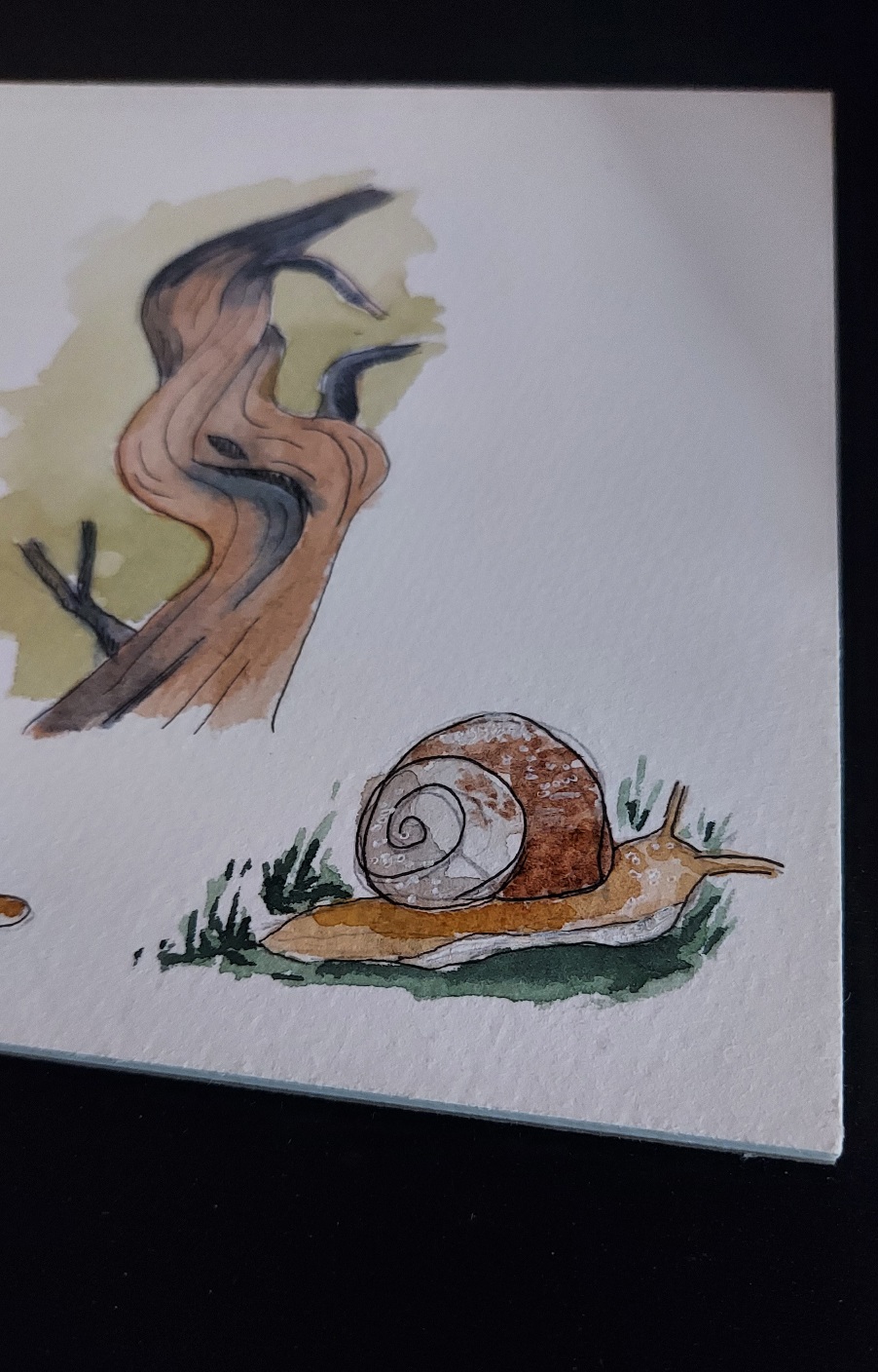 Schnecke und gewundener Baumstamm
