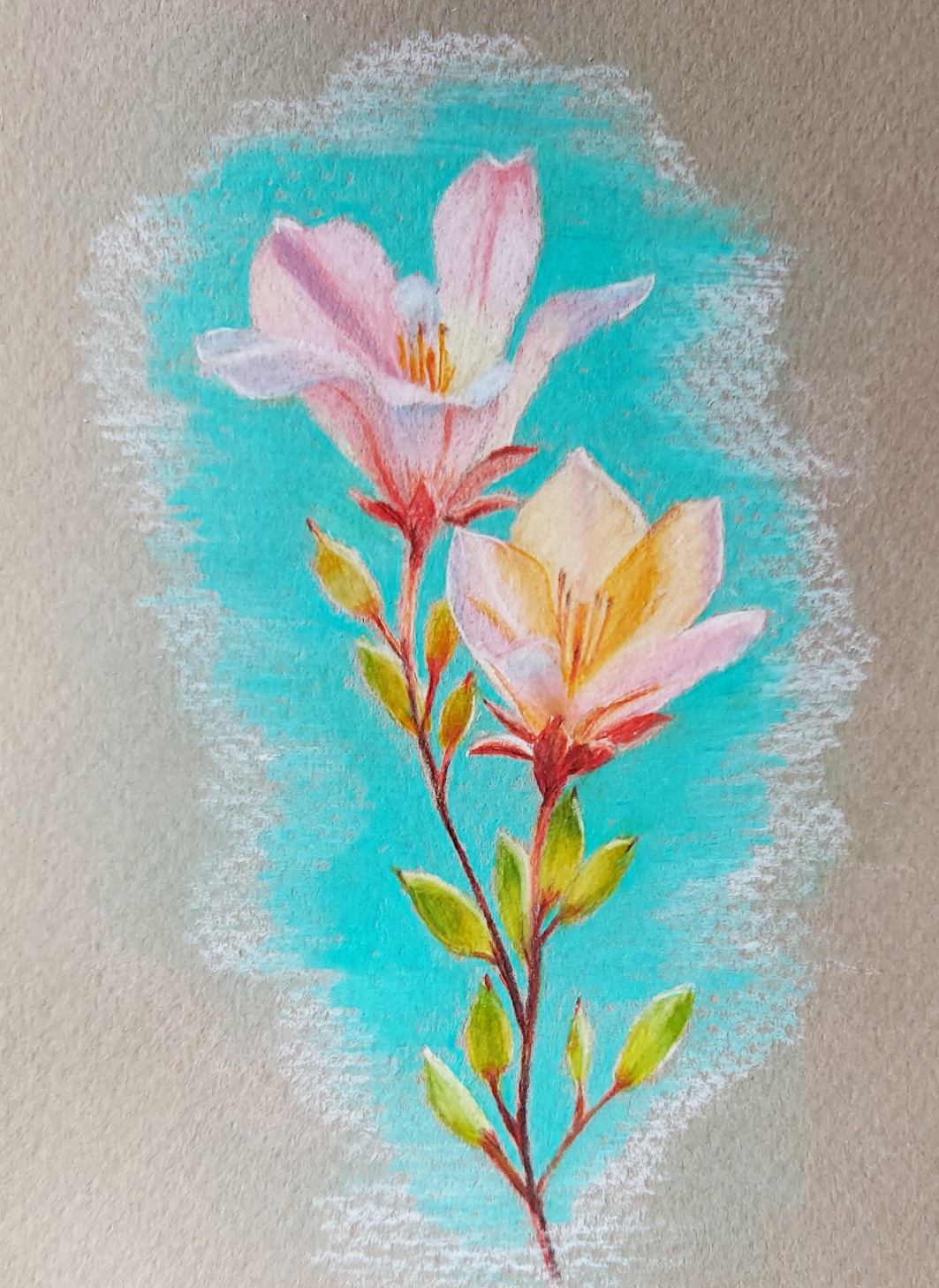 Selbe Zeichnung mit türkisen Hintergrund