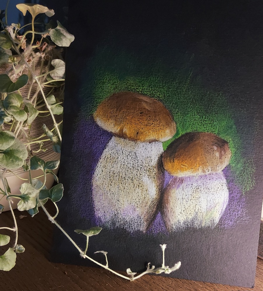 Zwei dicke braune Pilze mit weißem Stil. Buntstift auf schwarzen Aquarellpapier. Hintergrund einfach in grün und dunkellila gehalten.