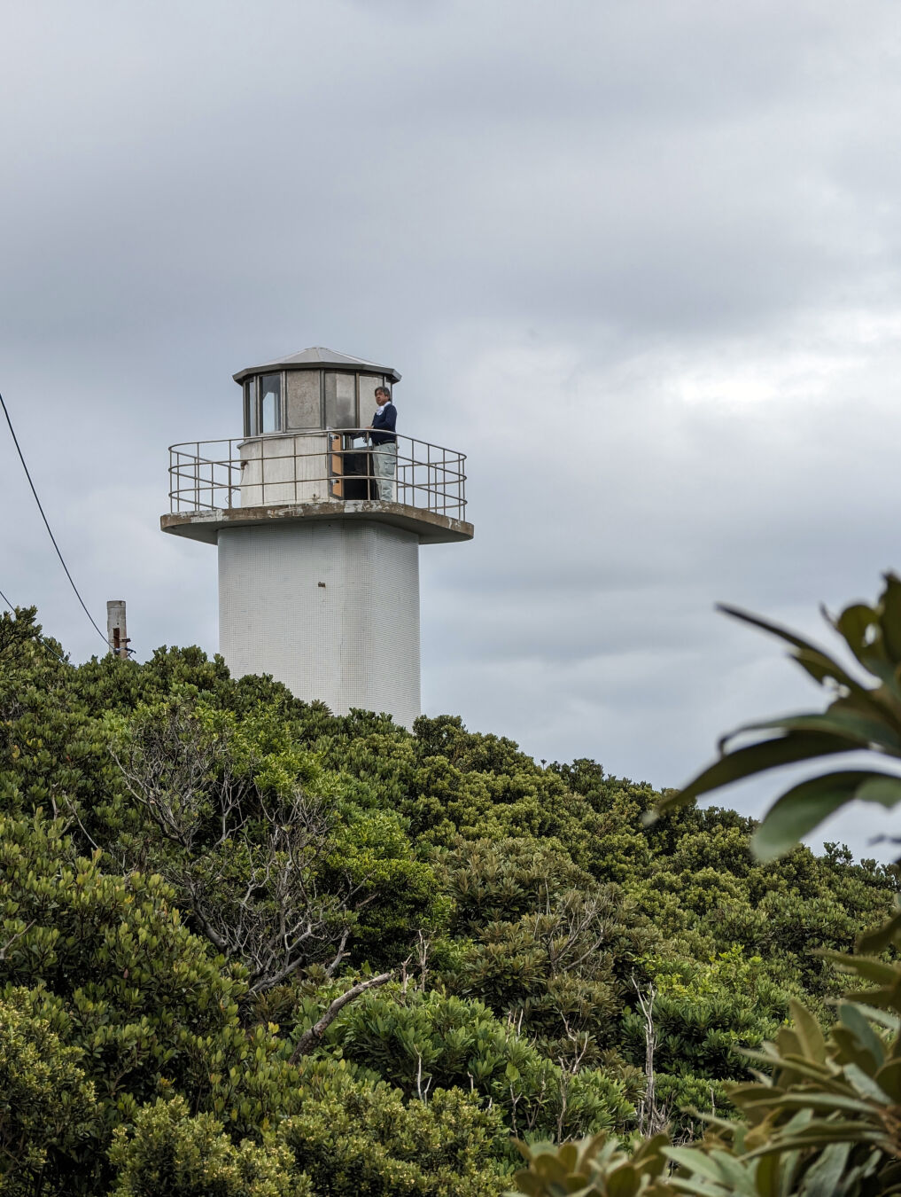 A man is standing outside of the top of a white small lighthouse. The lighthouse is surrounded by dense subtropical vegetation of intense green. The sky is cloudy, and the air is warm and humid.