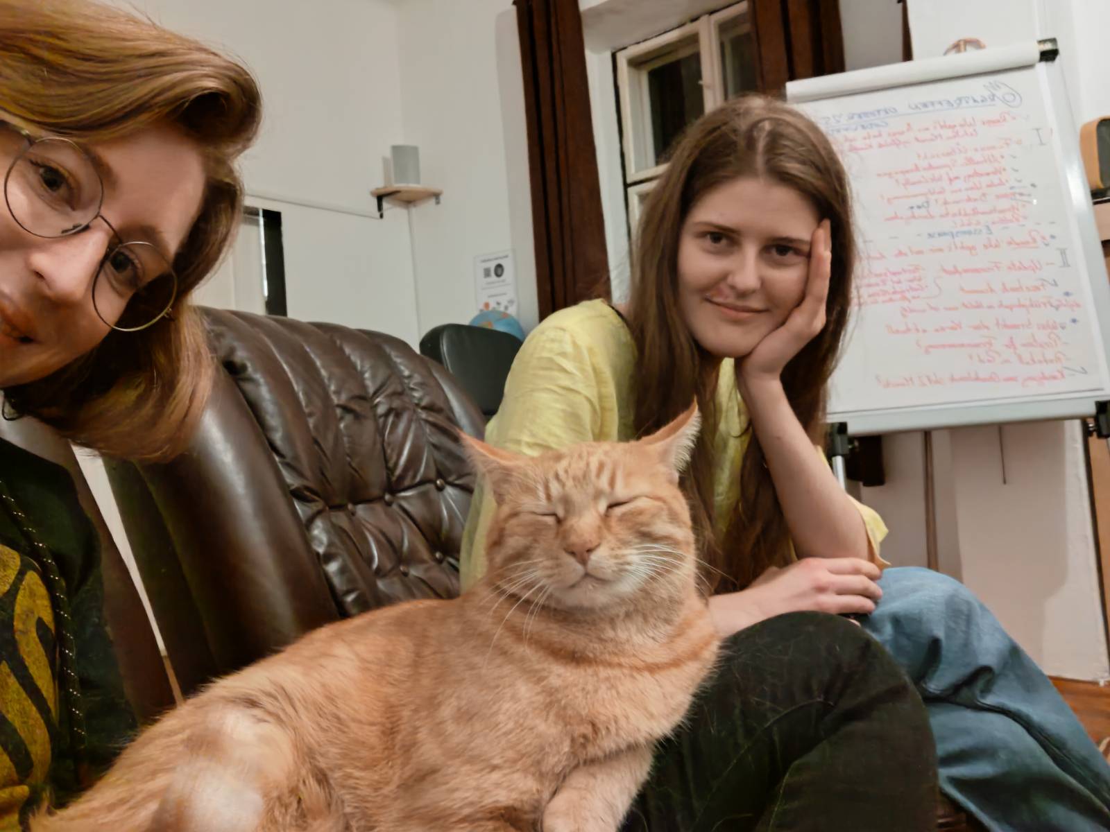 Kommt zu uns! Wir haben Katzen! 🐈
Cecio hat es sogar zu unserem Orga-Treffen geschafft und hat sich auch gleich ein paar Menschen  zum Streicheln organisiert😄
#cat #katze #kometin #orga