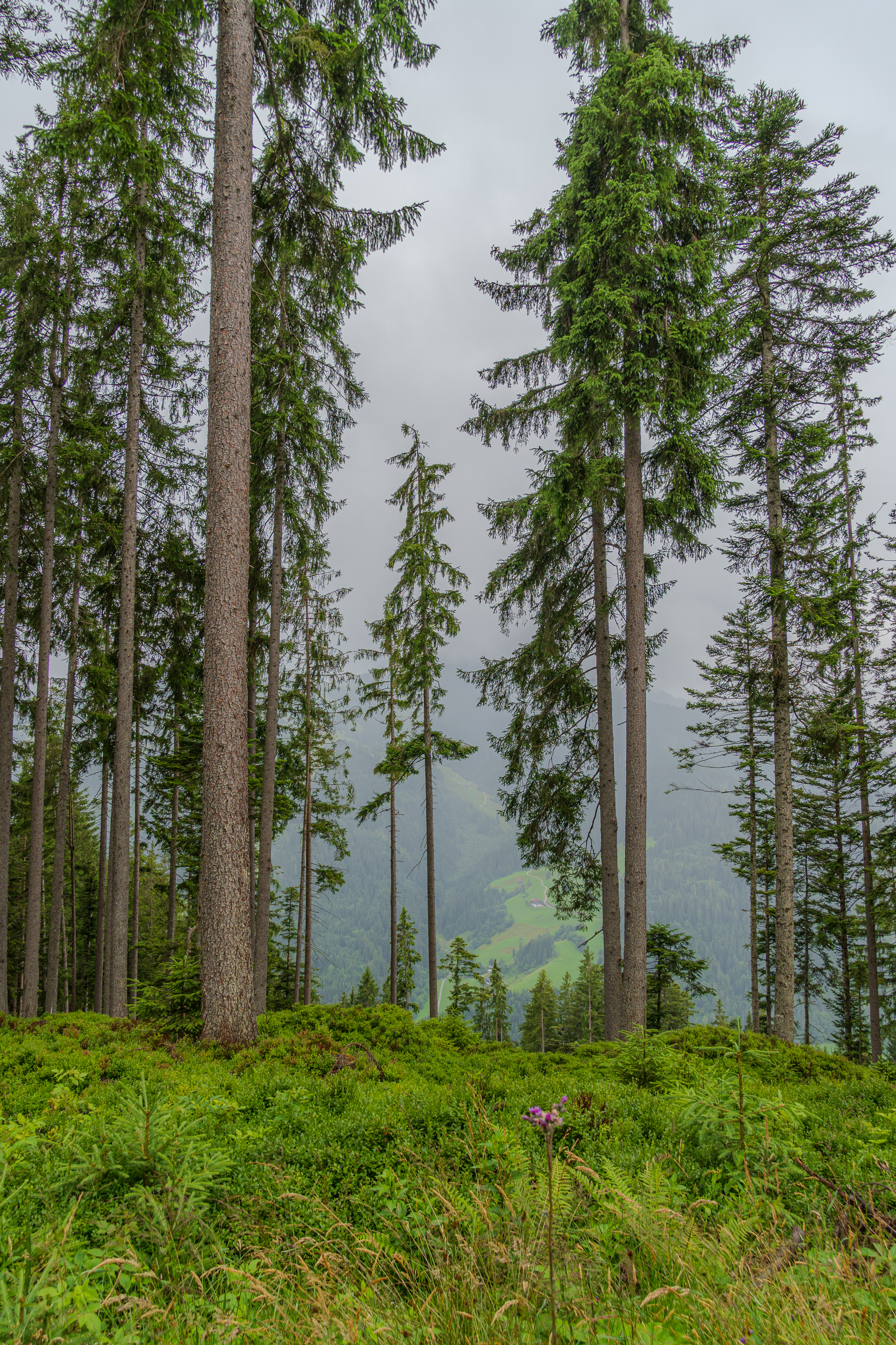 Sorry, no caption provided by author