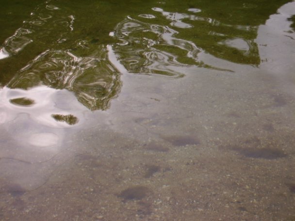 spiegelnde Wasseroberfläche am Ufer eines Sees
