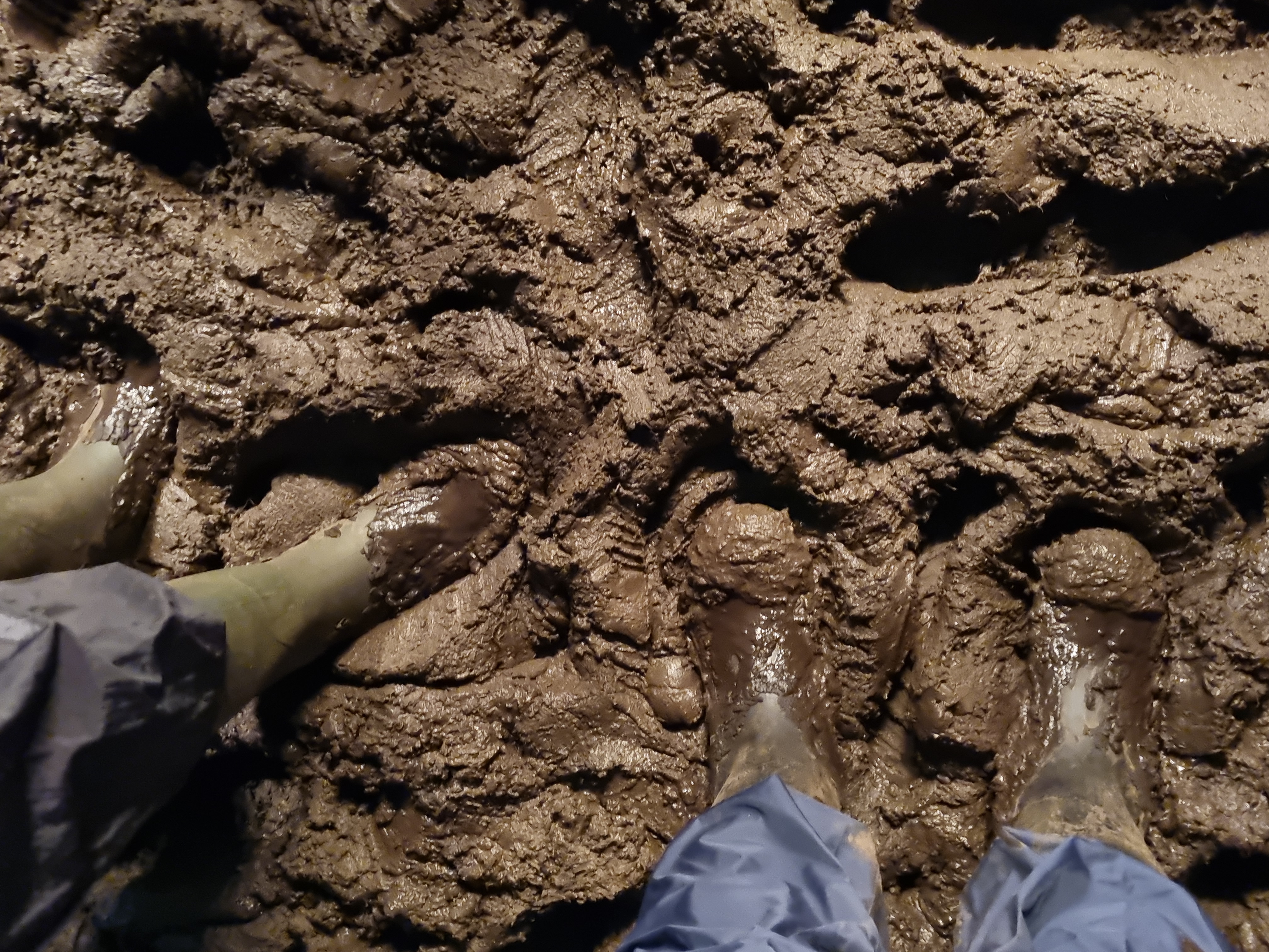 Infield-Blick nach unten