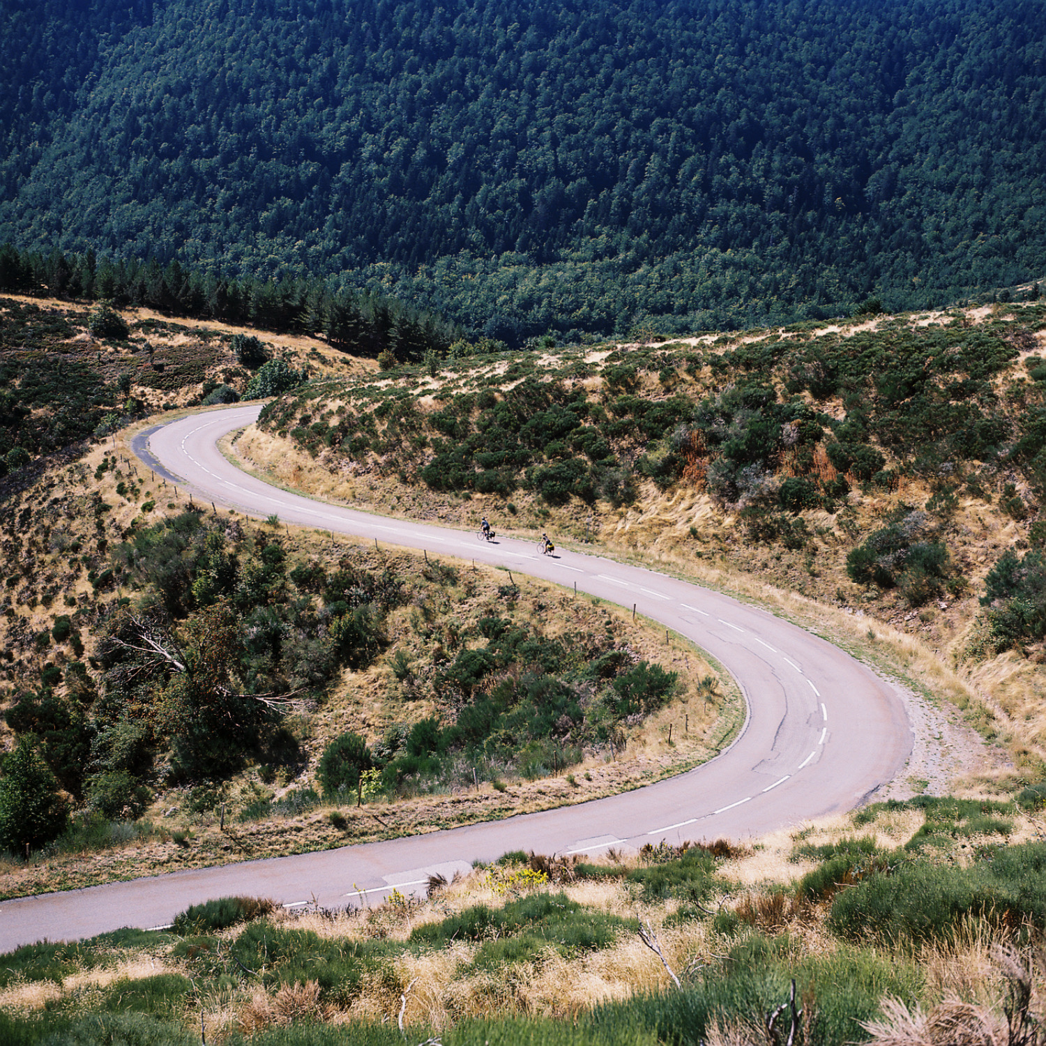 Winding mountain road surrounded by lush greenery and shrubs, with two cyclists riding along the curves.