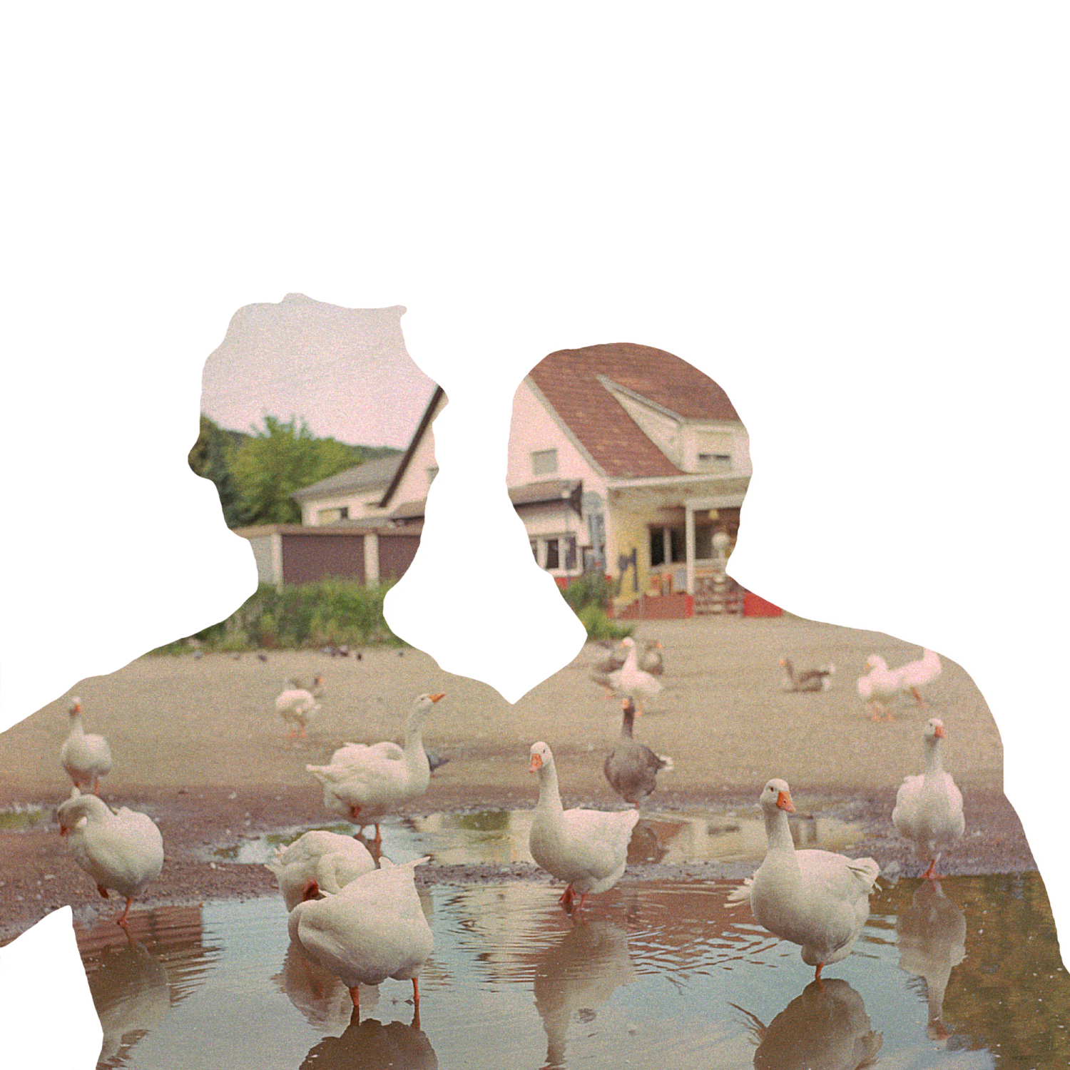 Silhouettes of two people overlaid on a scene with geese wading in a puddle, houses, and greenery in the background.