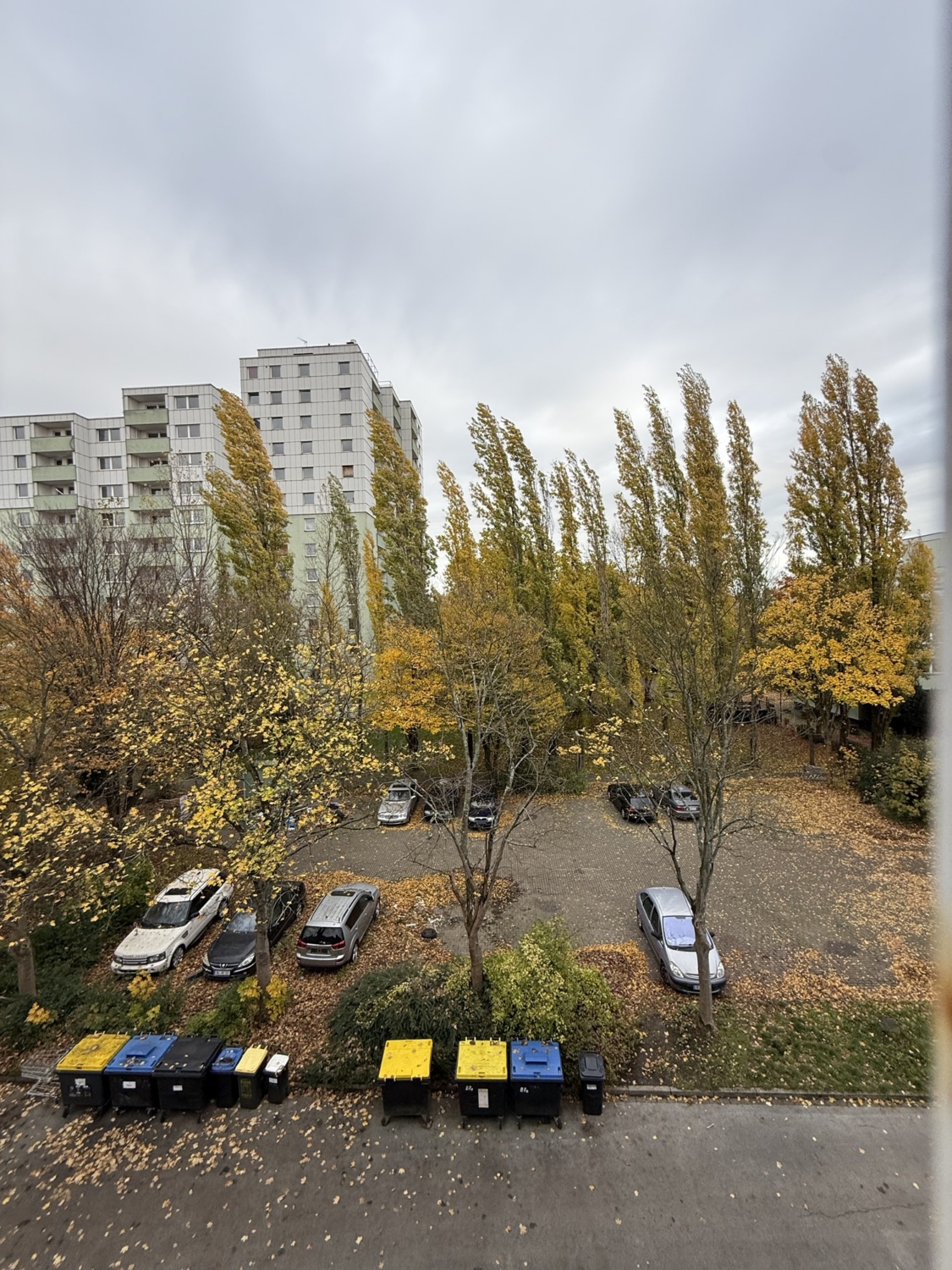 Parkplatz mit mehreren Autos und Bäumen, deren Blätter im Herbstgelb gefärbt sind.