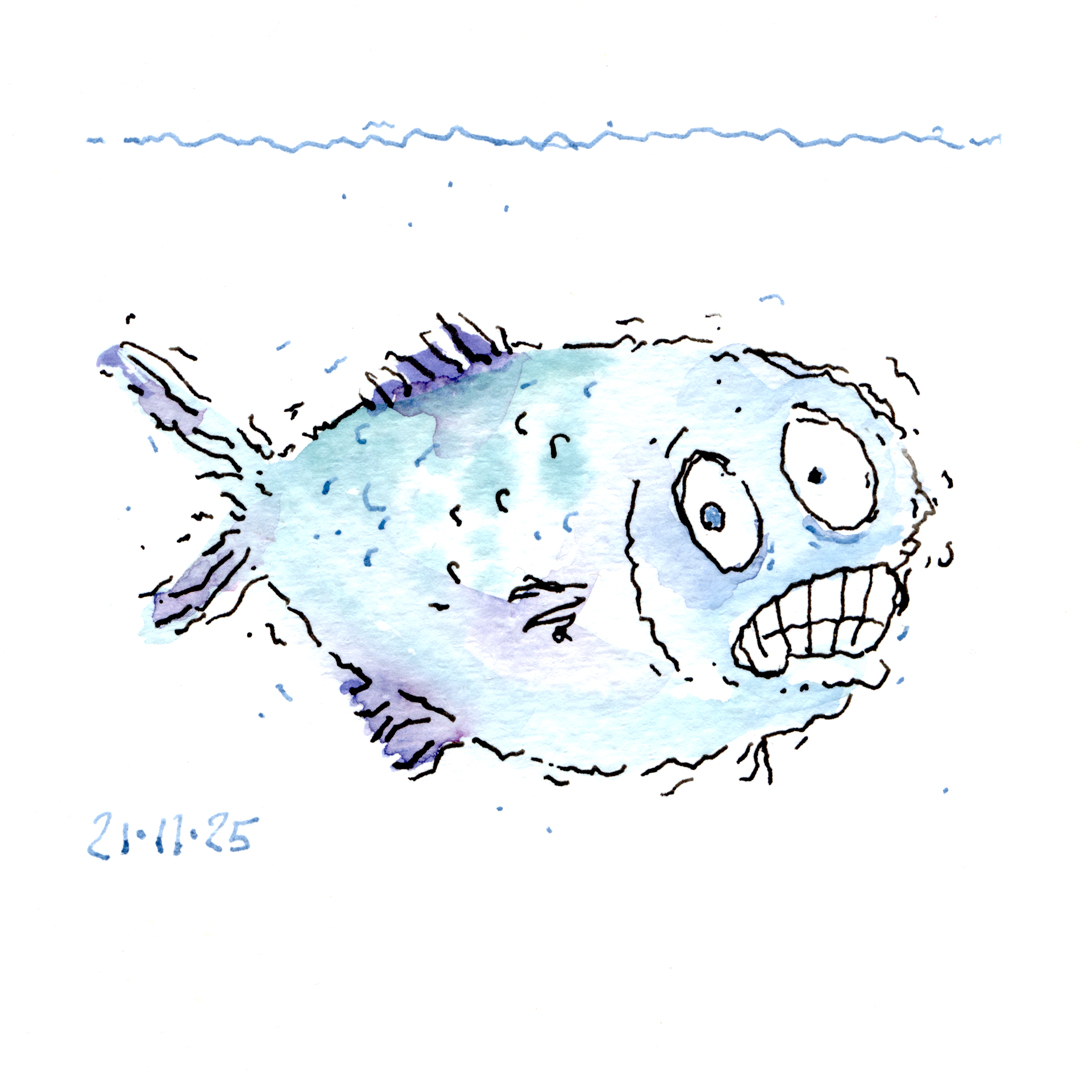 Friday fish drawing: this weeks fish is pale blue/teal coloured and drawn with very wiggly black and blue lines, suggesting a shivering motion. The teeth of the fish are clenched. Above is a simple blue line for the water surface. To the lower left is the date „21•11•25“. Watercolour and black and blue ink for the lines. 

Freitagsfischbild: der Fisch ist blass blaugrün und mit sehr wackeligen schwarzen und blauen Linien gezeichnet, so dass es aussieht als ob er zittert. Die Zähne sind zusammengebissen. Darüber deutet ein einfacher blauer Strich die Wasseroberfläche an, unten links steht das Datum „21•11•25“. Aquarellfarbe und Strichzeichnung in schwarz und blau.