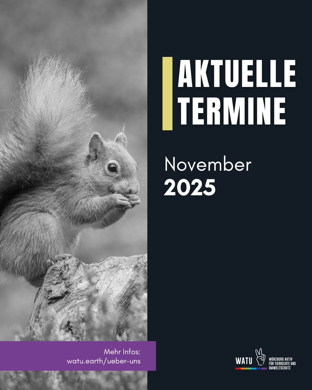 Im Hintergrund ein Eichhörnchen. 
Aktuelle Termine November 2025
Mehr Infos: watu.earth/ueber-uns